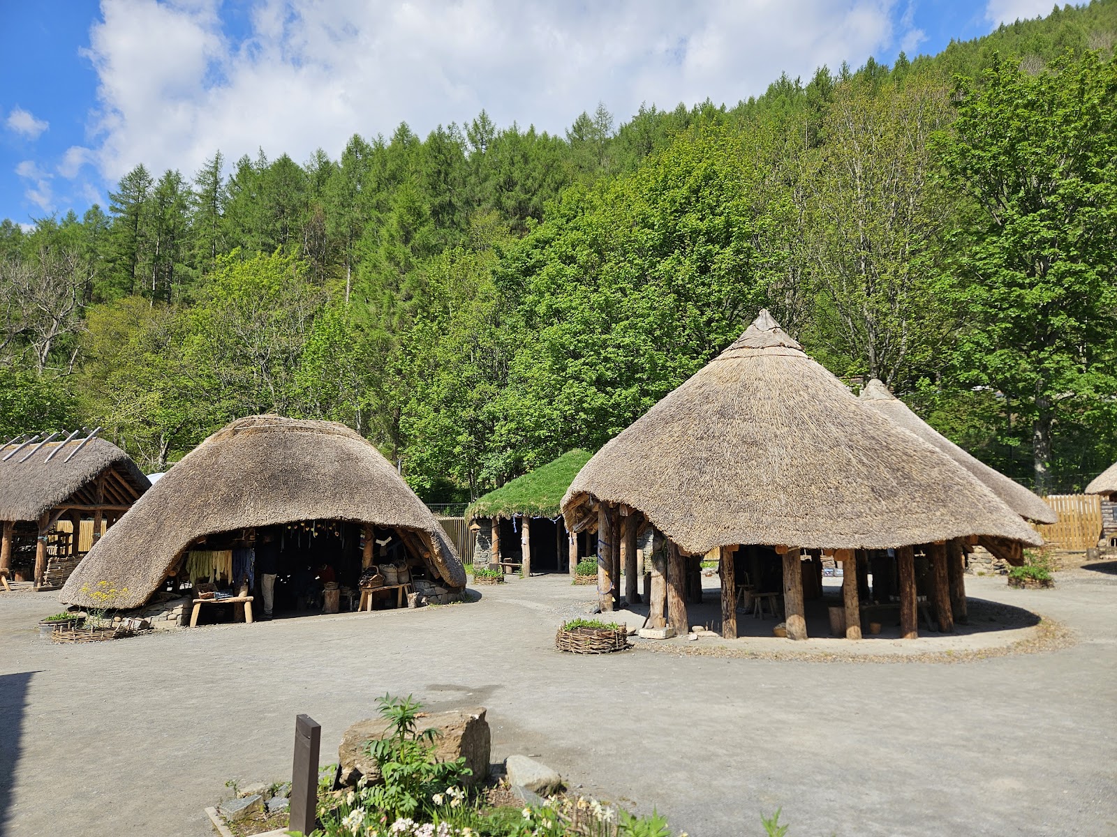 Thatched Iron Age roundhouses at the Scottish Crannog Centre at Dalerb, woods behind.