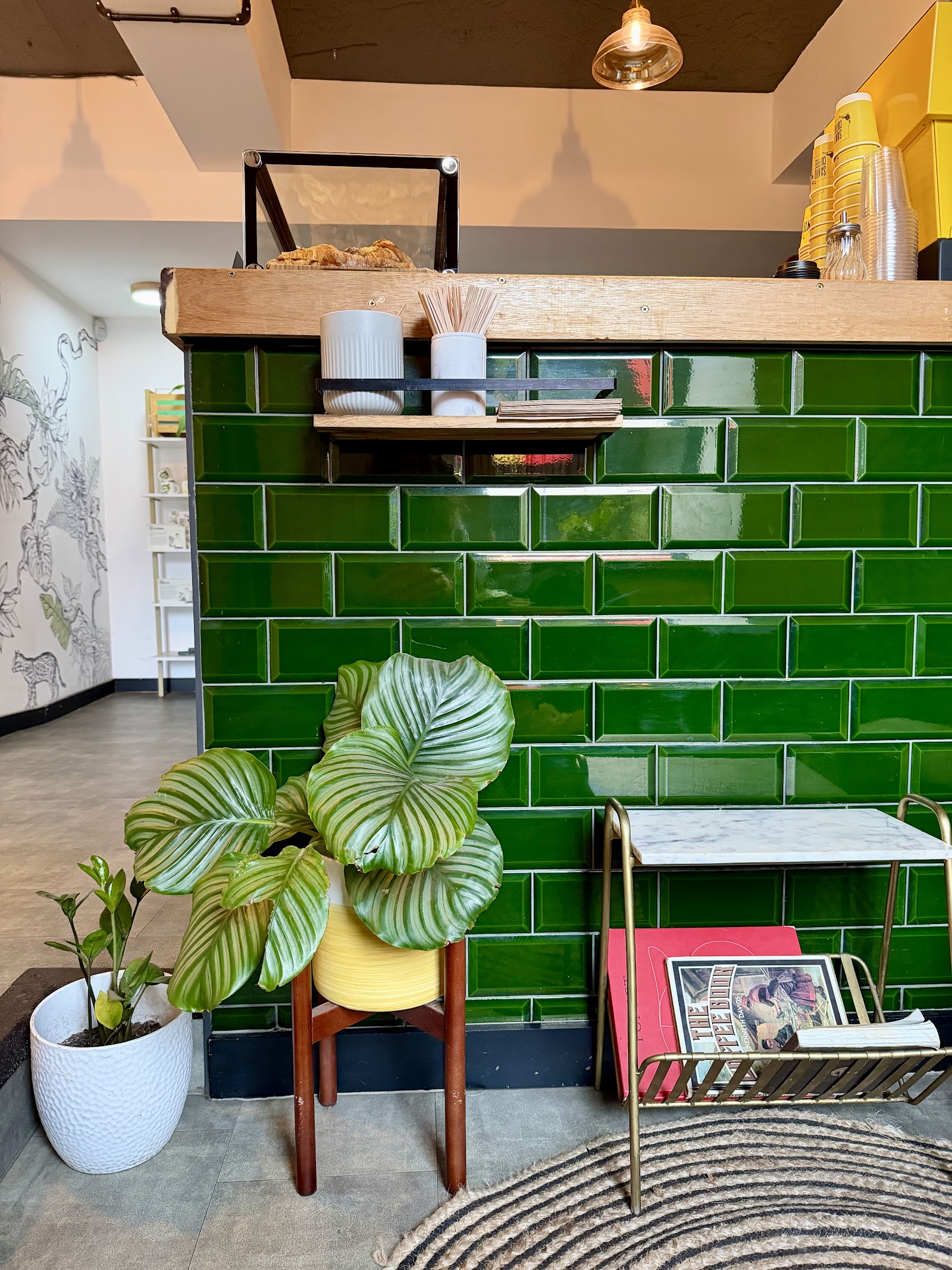 A corner of Santu's coffee bar, a green tiled counter with a striped plant on a stand and a rack of magazines.