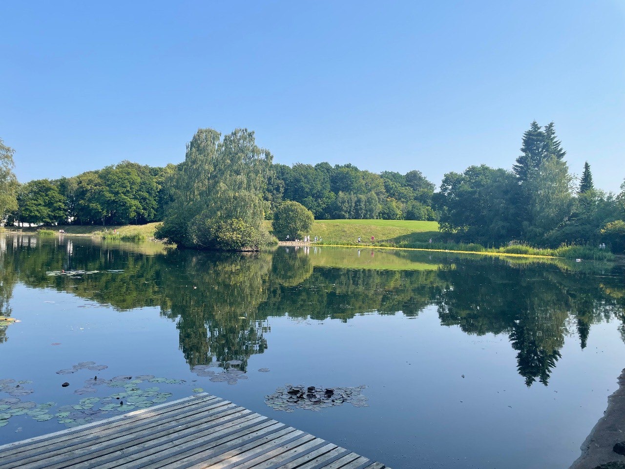 The boating pond at Rouken Glen on a still blue day, trees and lawns mirrored in the water beside a wooden jetty.
