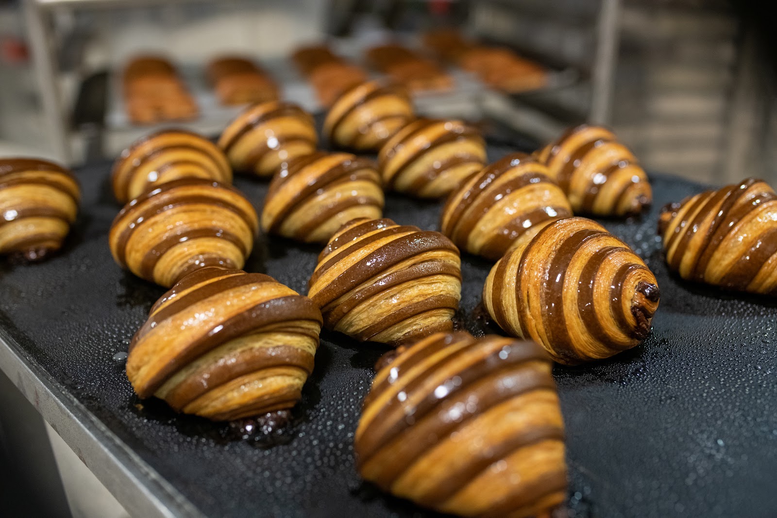 Chocolate-striped croissants, glazed and fresh from the oven, on a baking tray at Harry Gow.