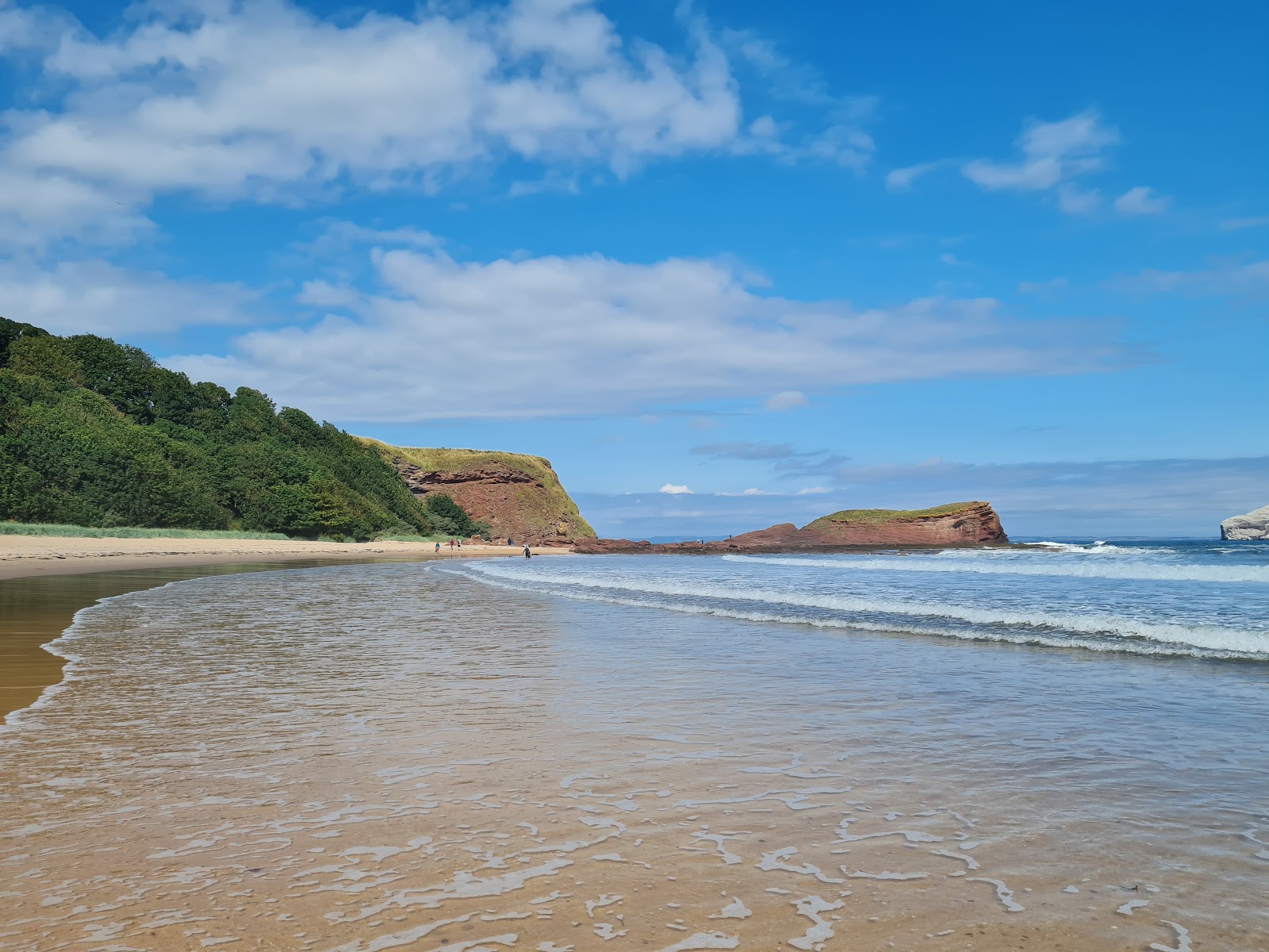 Seacliff beach, a curve of golden sand below wooded cliffs with the sea breaking gently on the shore.