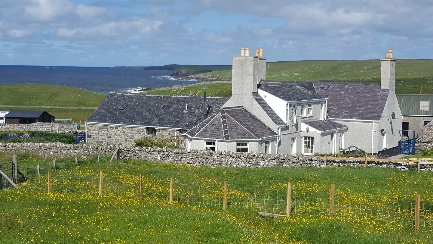 Galson Farm, a long white farmhouse with tall chimneys among green crofts and wildflowers, the sea beyond.