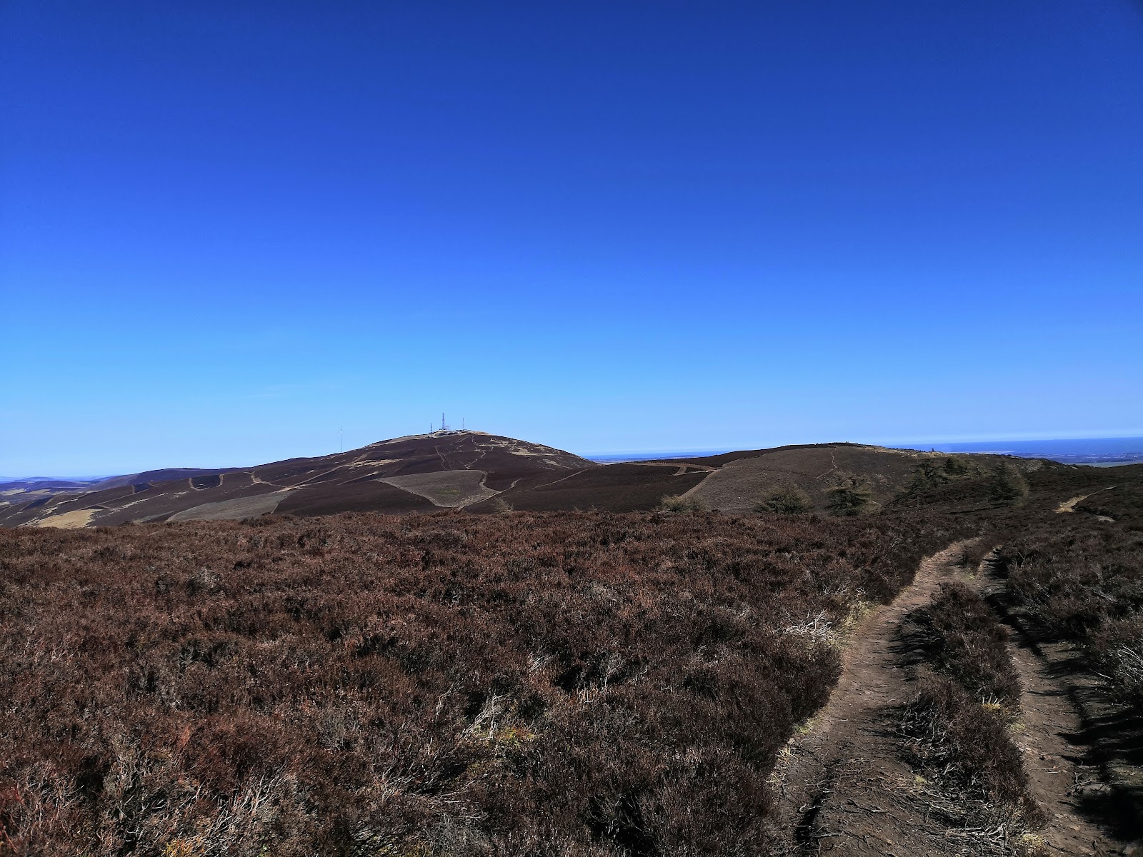 A walk up Auchterhouse Hill from Balkello
