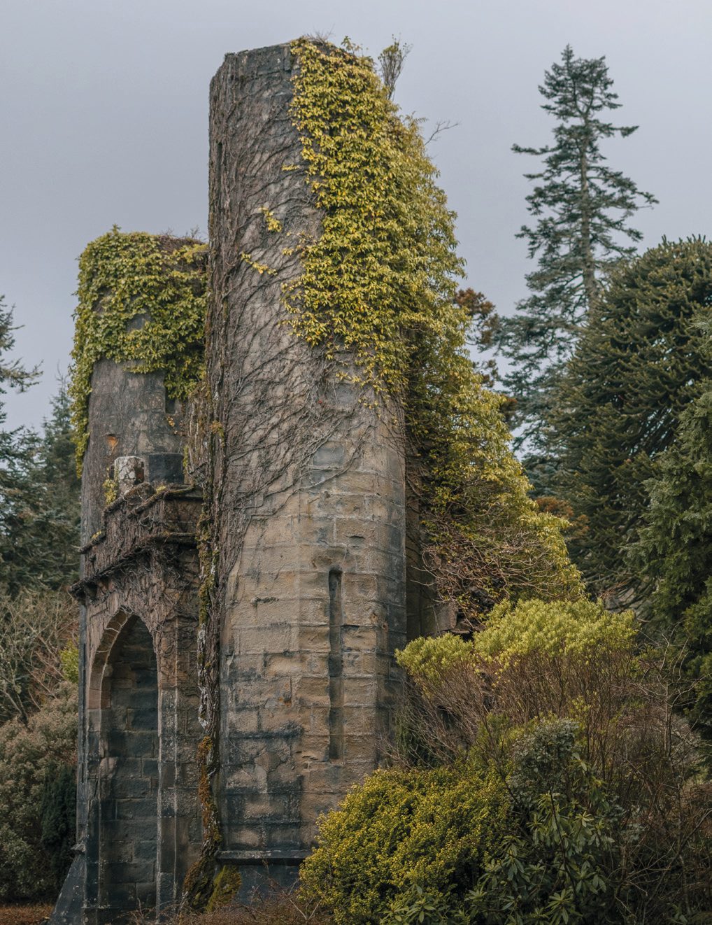 Armadale Castle, ivy-covered ruin