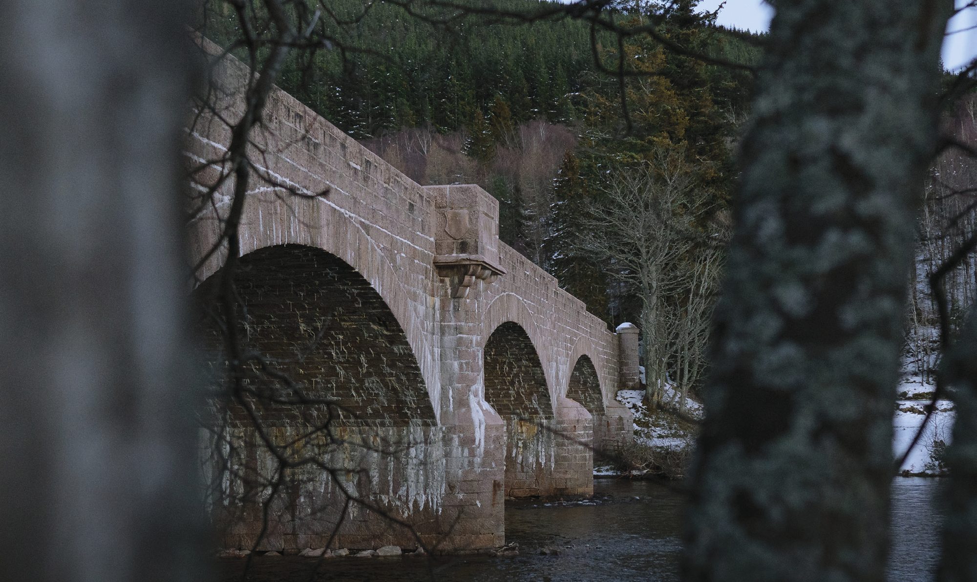 Stone arched bridge in woodland near Ballater