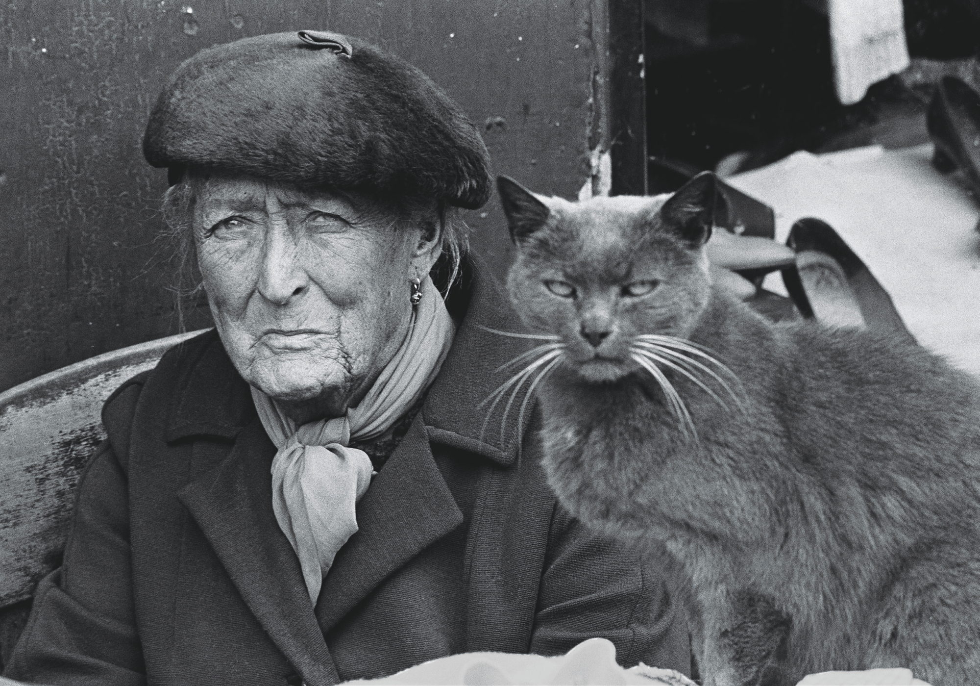 Madame Doubtfire with one of her cats