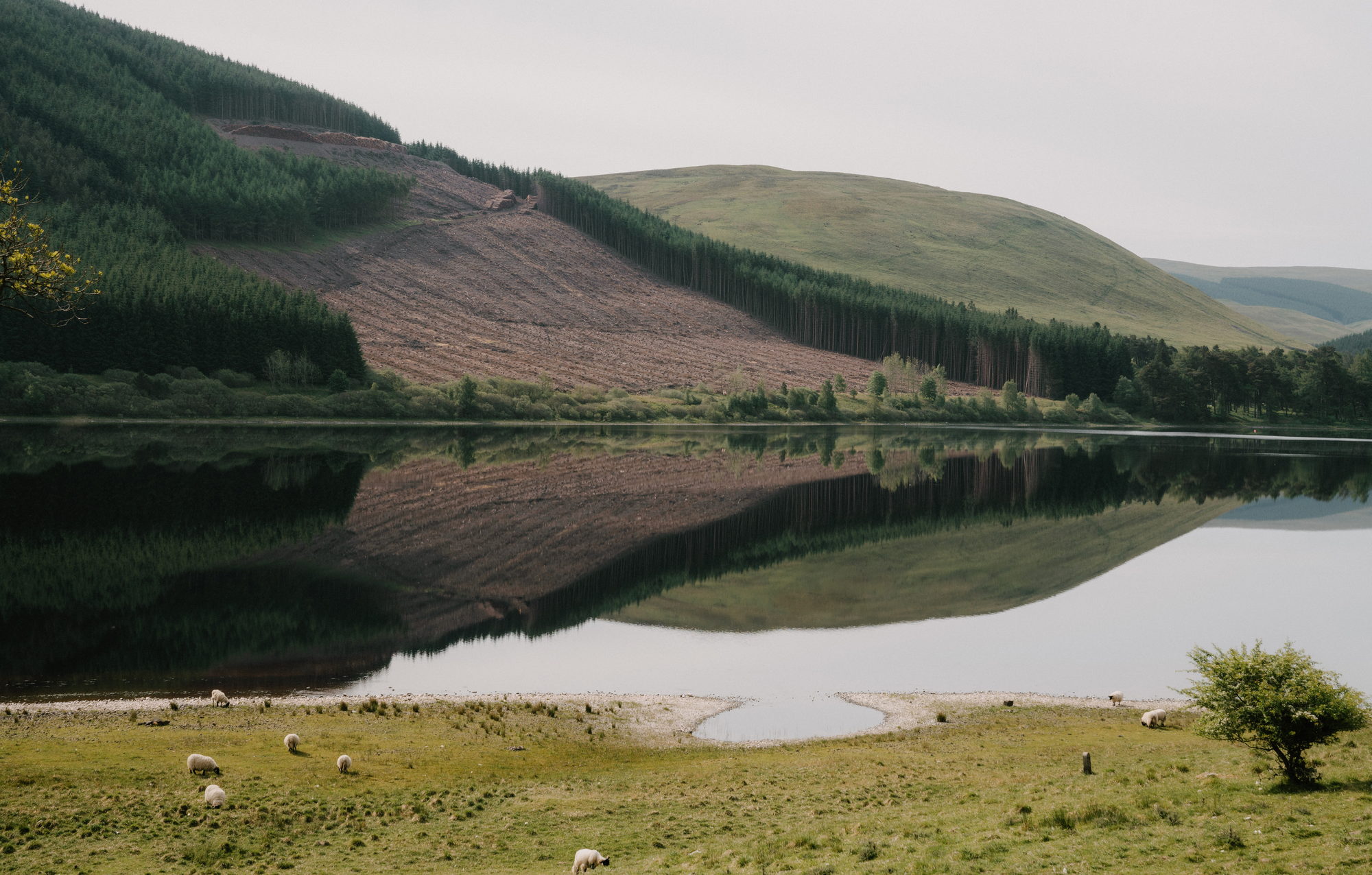 LOCATION // St Mary’s Loch