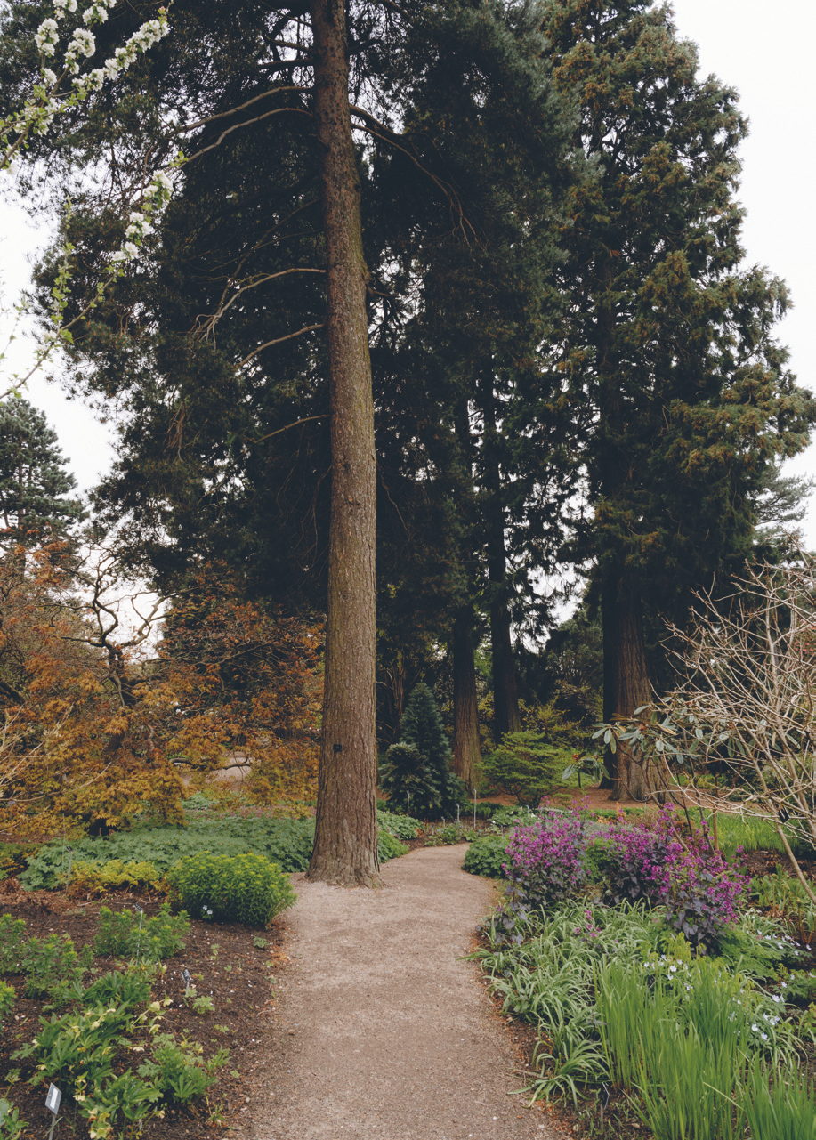 Royal Botanic Garden Edinburgh