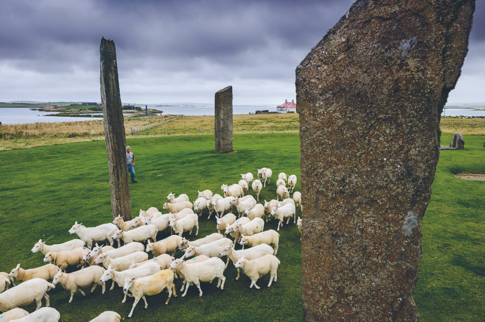 Stones of Stenness