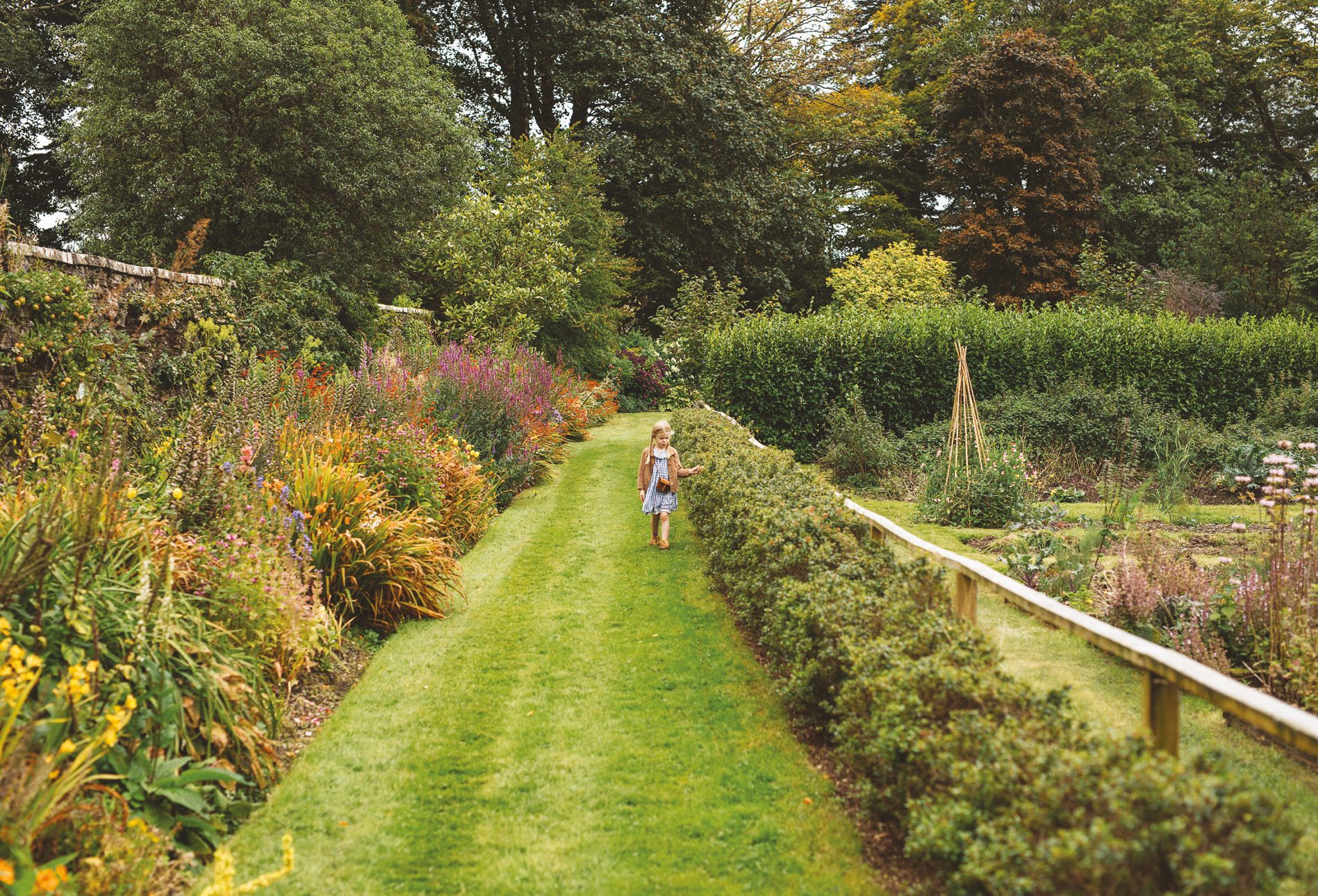 Torosay Gardens, grass path between herbaceous borders