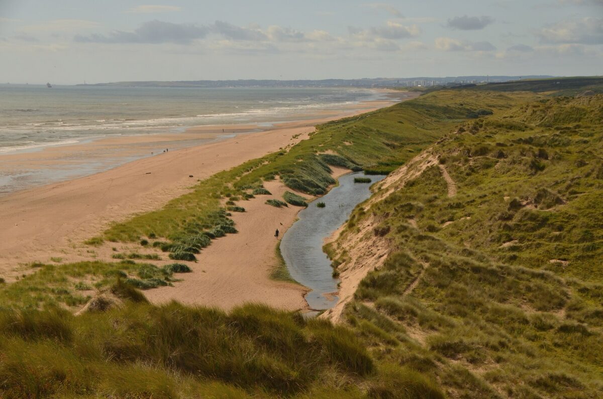 Marram-covered dunes falling to a long sandy beach at Balmedie, a burn winding to the sea.