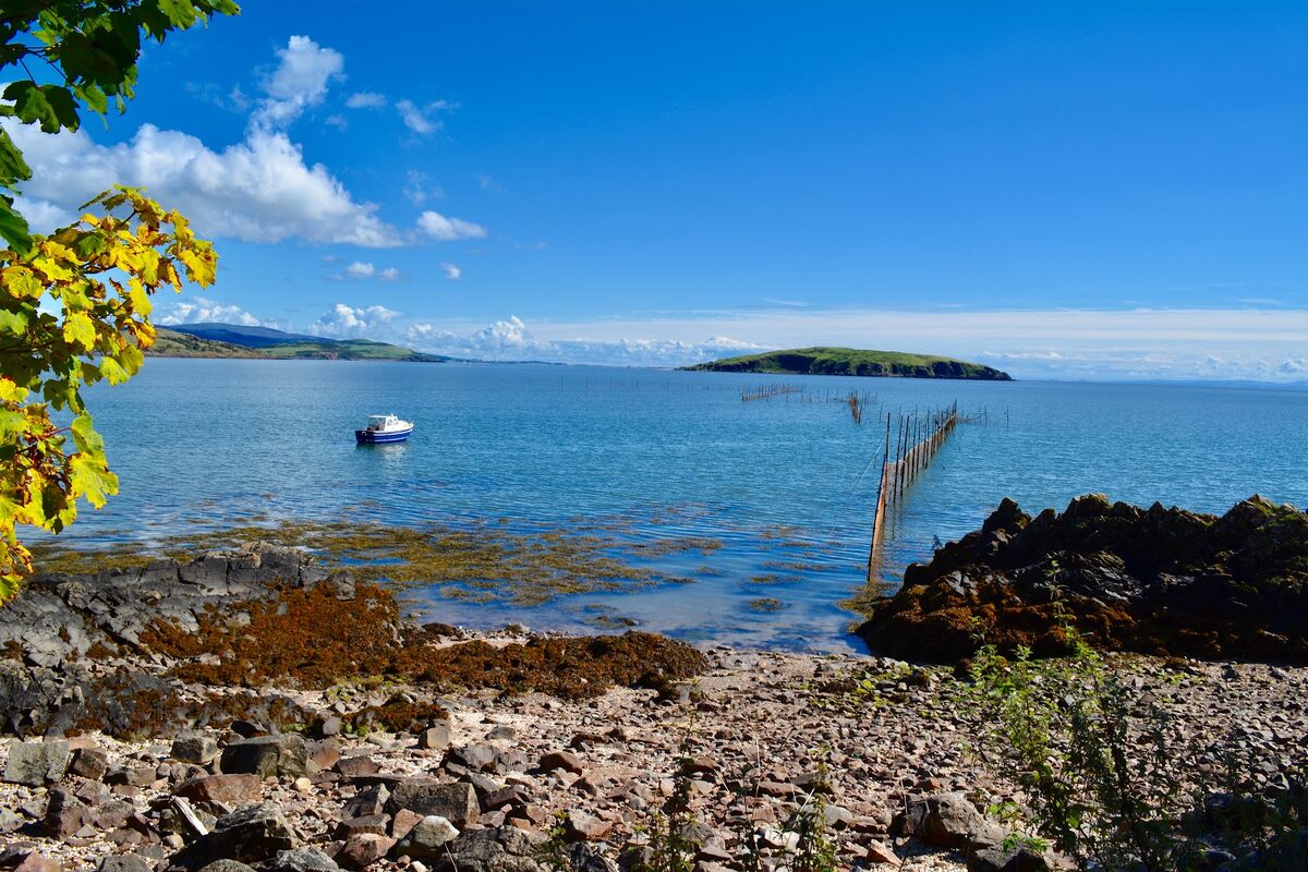 Small boat moored near wooden fish traps, rocky shore in foreground