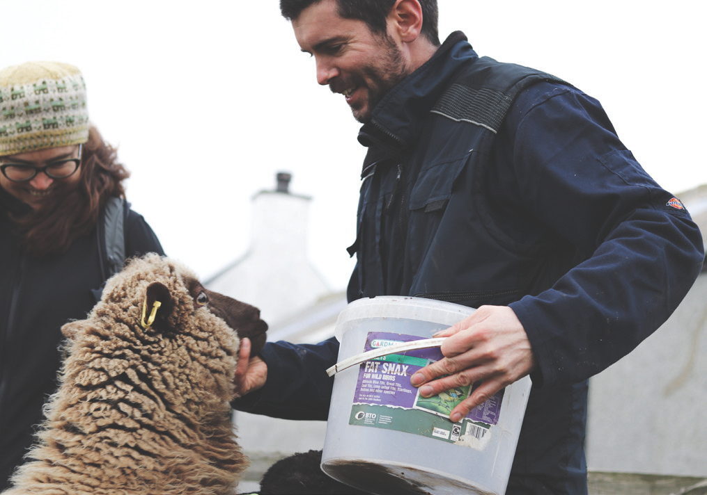 Shetland Textiles - The Future is Woolly