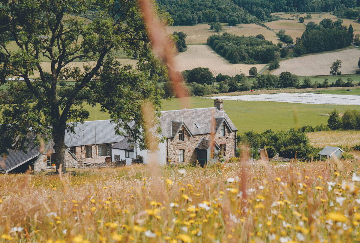 Ballintaggart - Where Scotland Grows