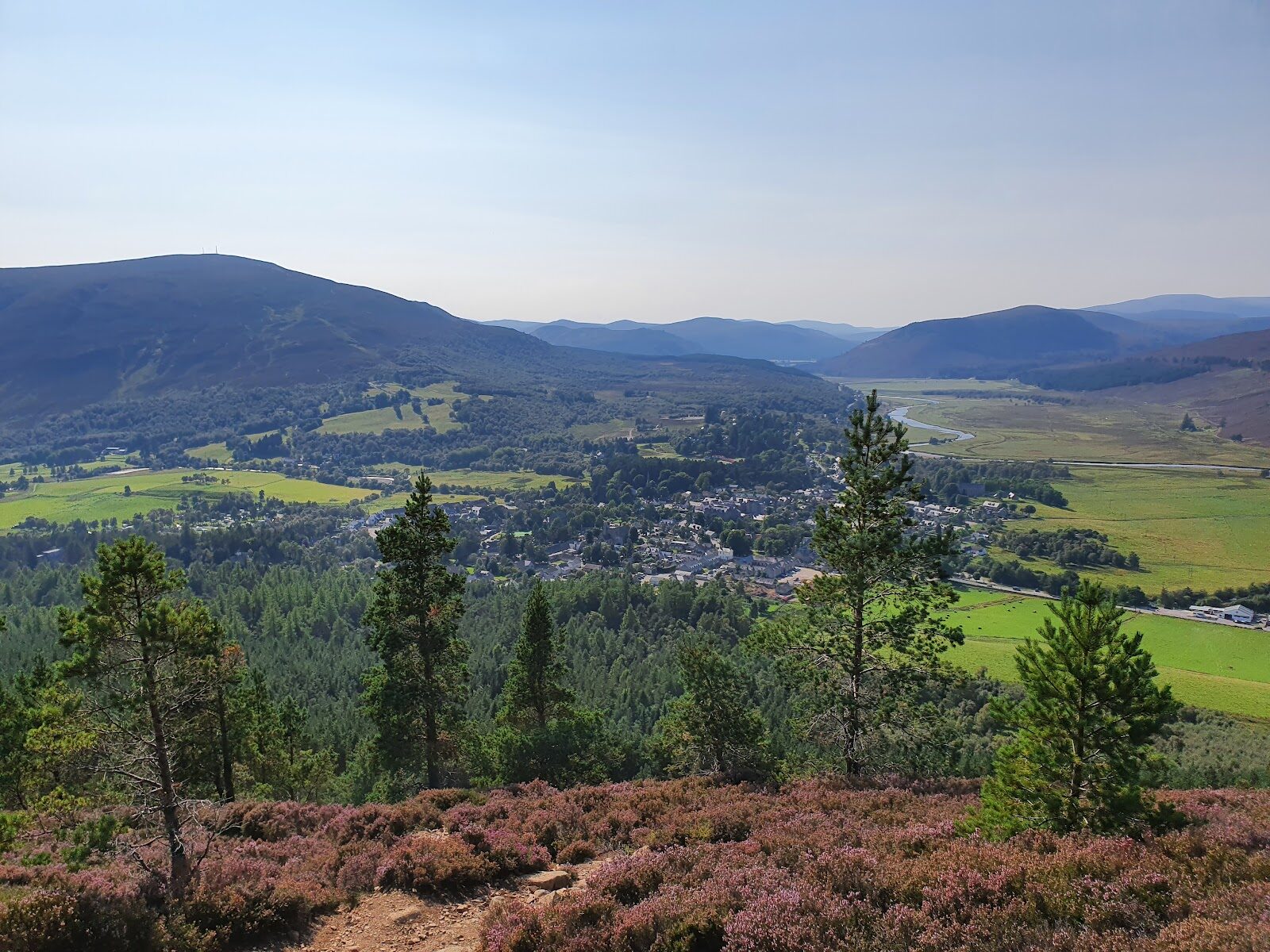 Up Creag Choinnich, above Braemar