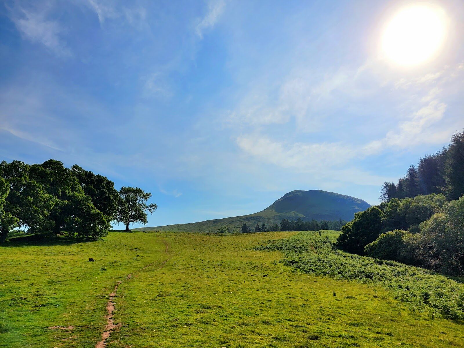 Dumgoyne and Earl's Seat in the Campsie Fells
