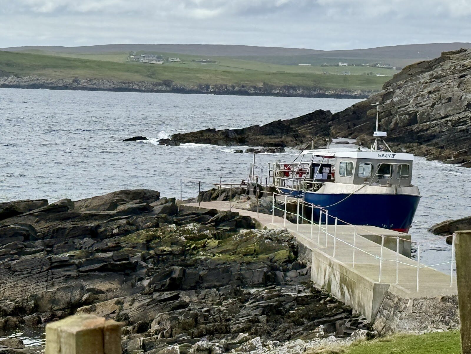 Mousa by boat, for the broch and the seals