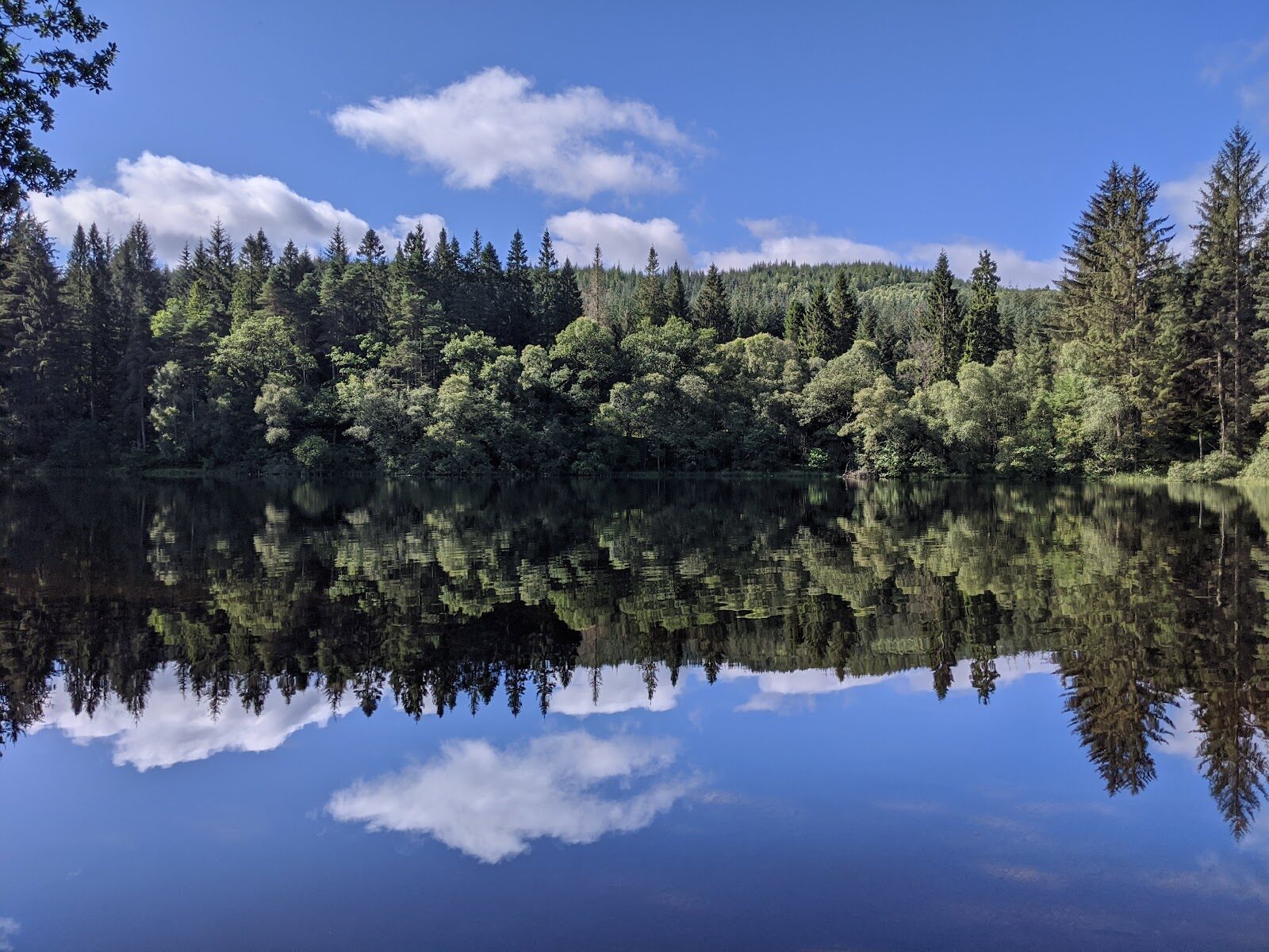 The Lochan Spling walk in Loch Ard Forest