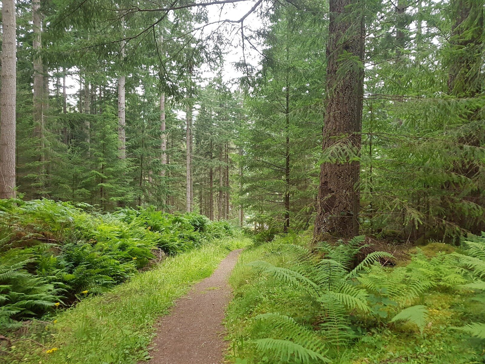 The Gorge Trail walk at Lael Forest Garden