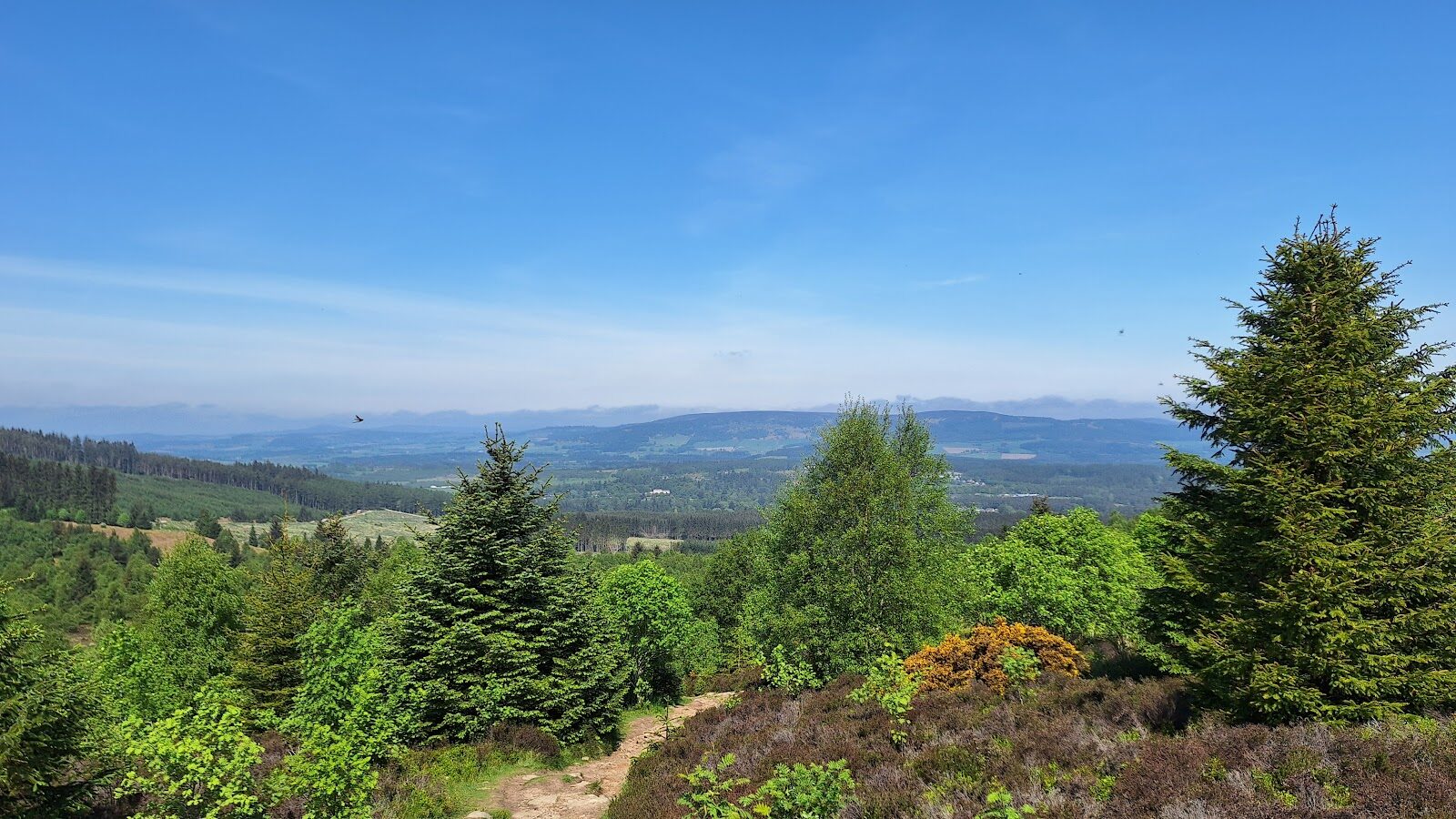 A picnic in Scolty Forest at Banchory