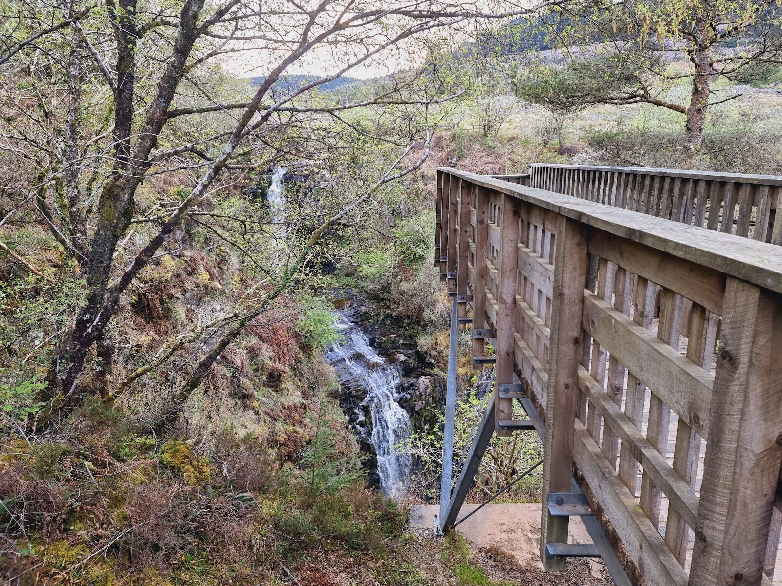 Glenashdale Falls and the Giants' Graves walk