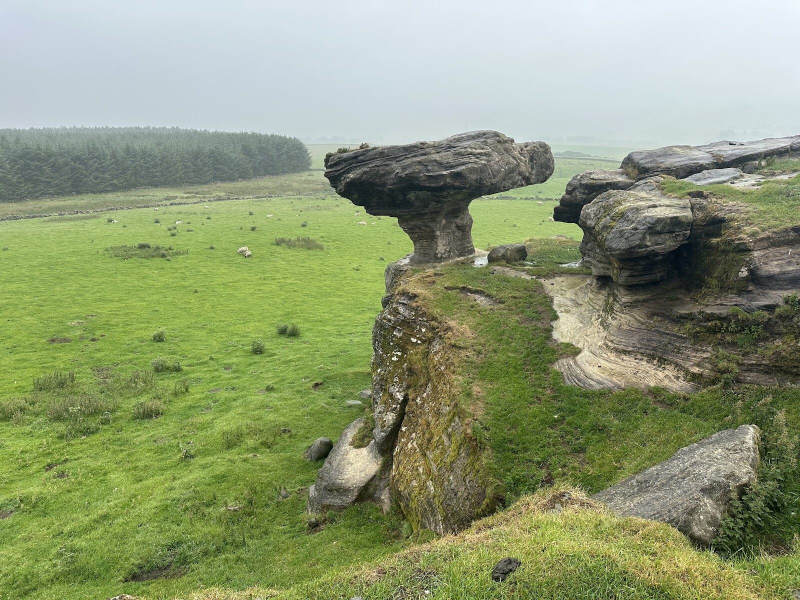 A walk to the Bunnet Stane below West Lomond
