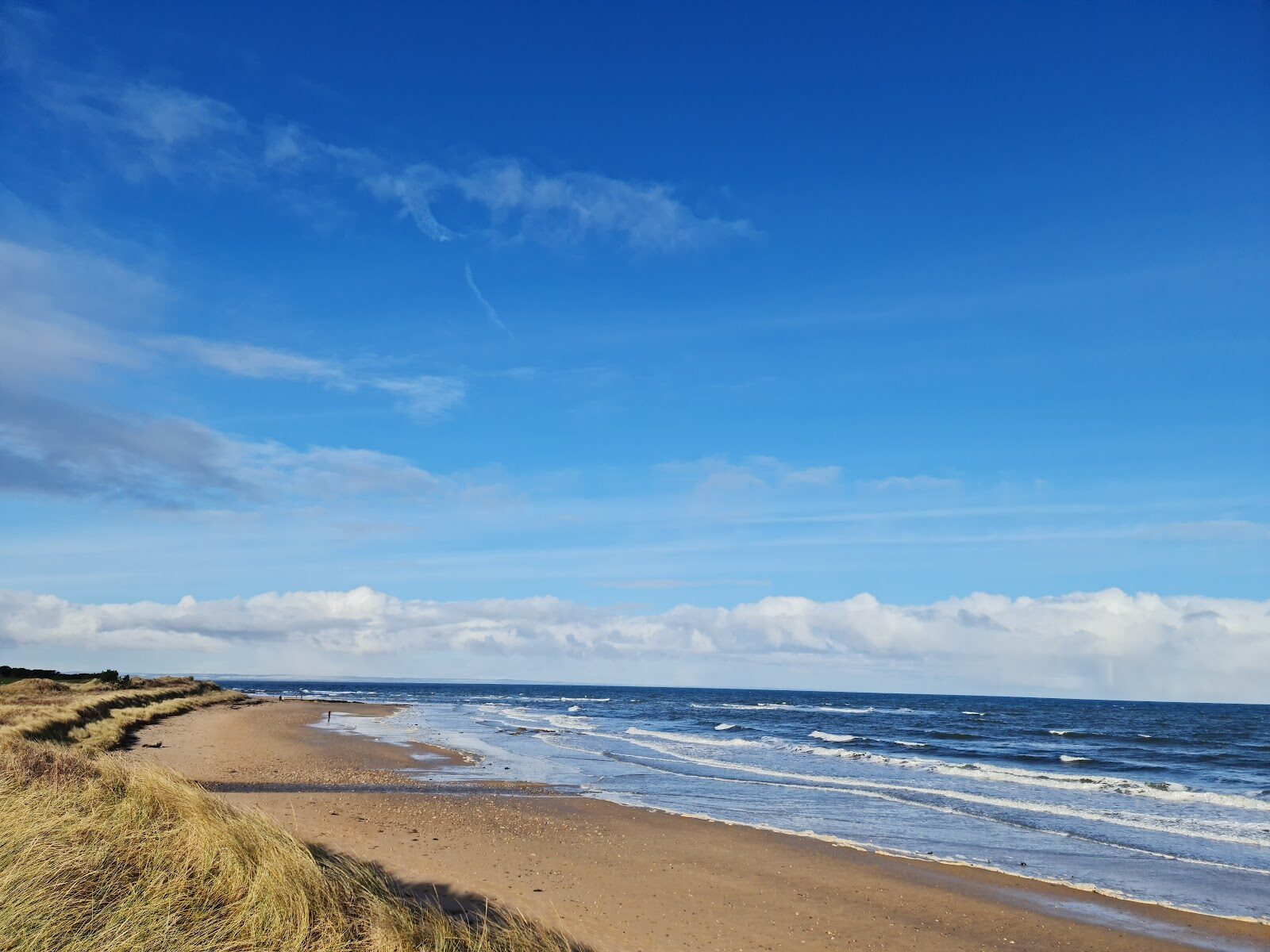 Kingsbarns beach and Cambo woods walk