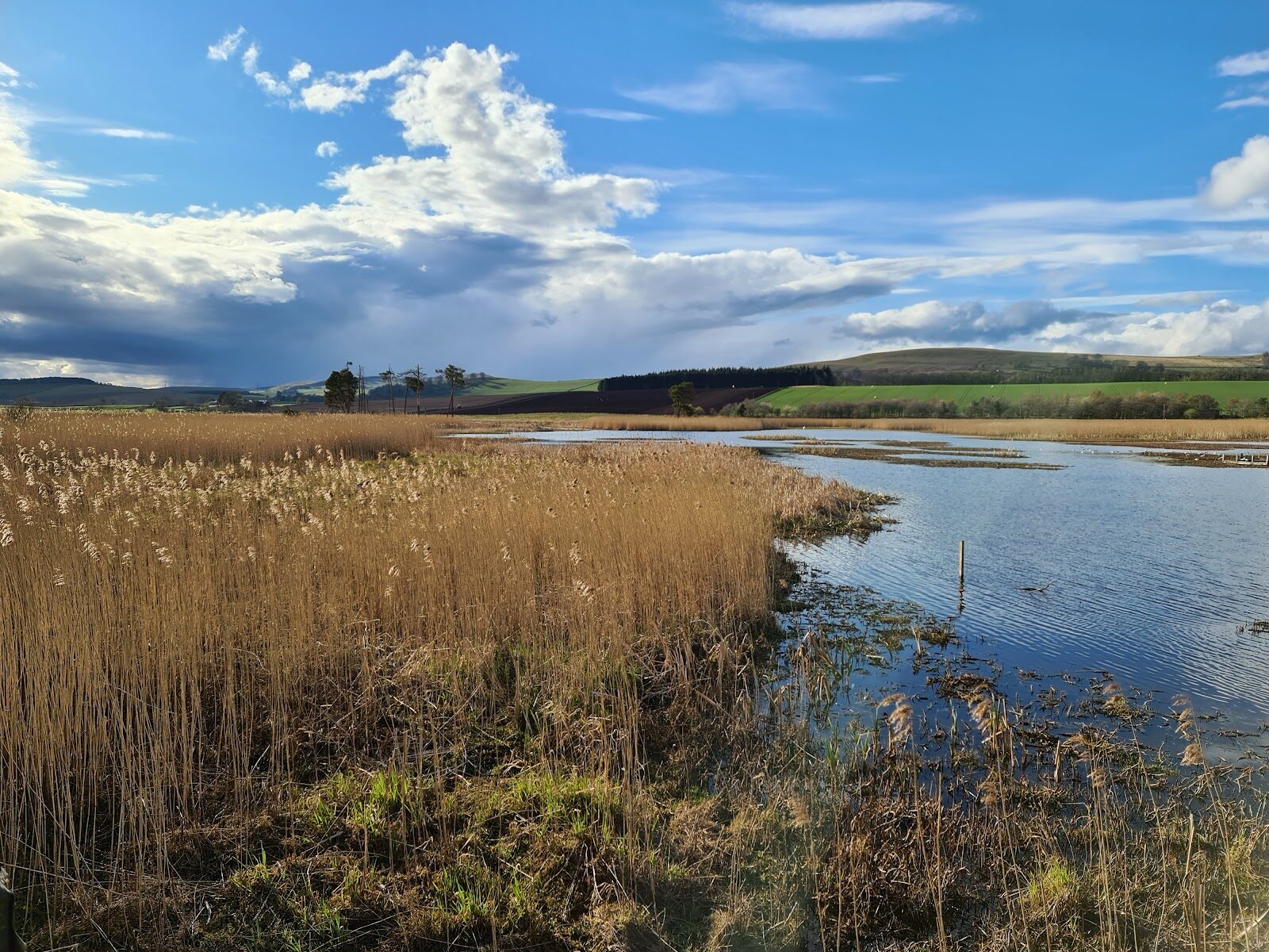A walk to the hides at the Loch of Kinnordy