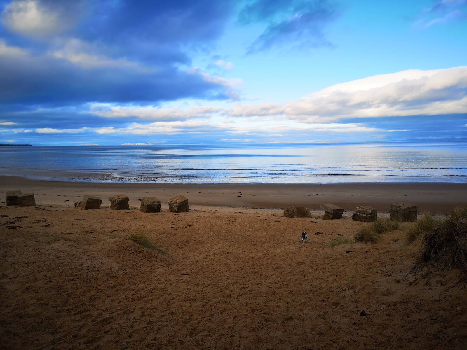 A walk in Roseisle Forest and along its beach