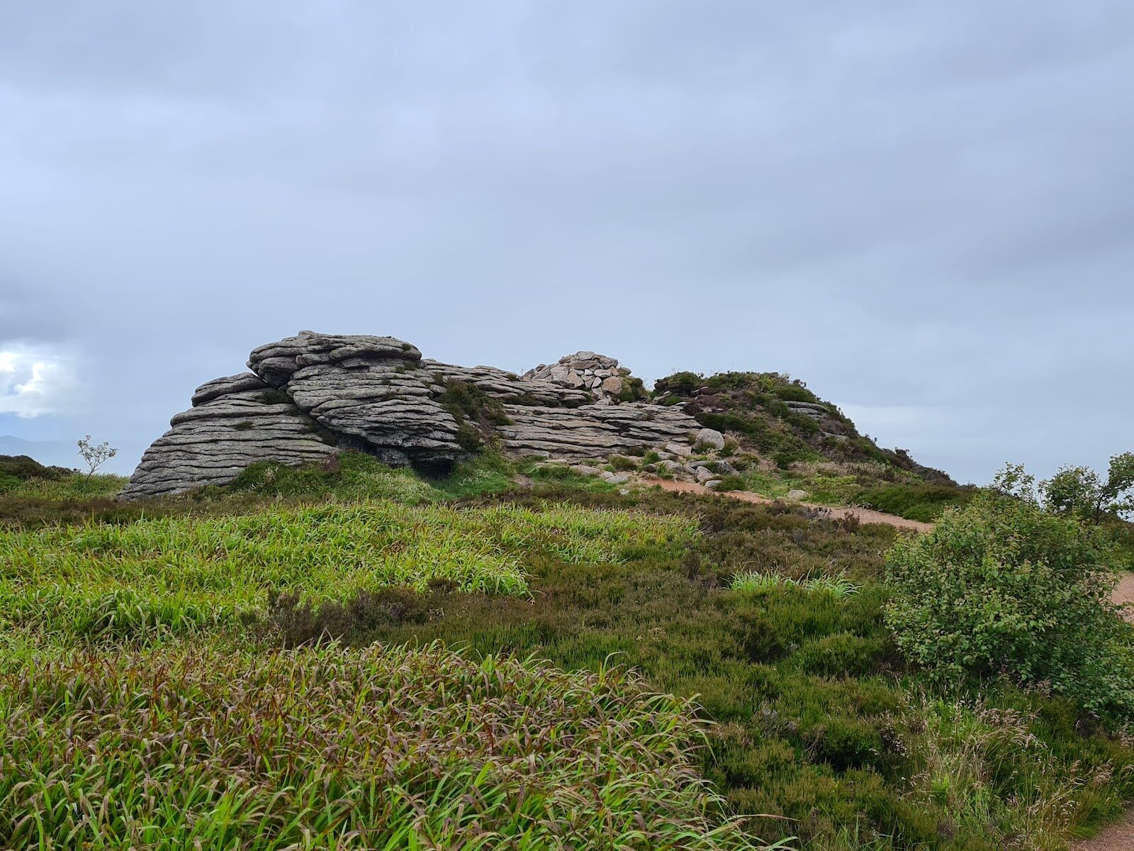 A walk up Oxen Craig, Bennachie's highest top