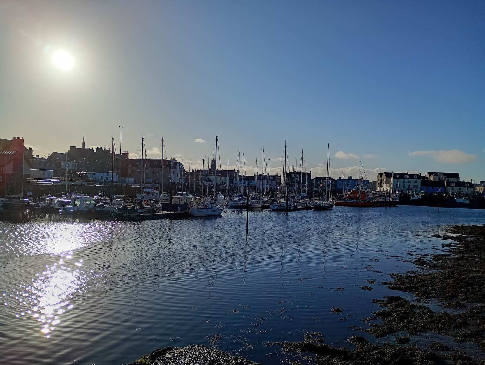 A whale and dolphin boat from Stornoway harbour
