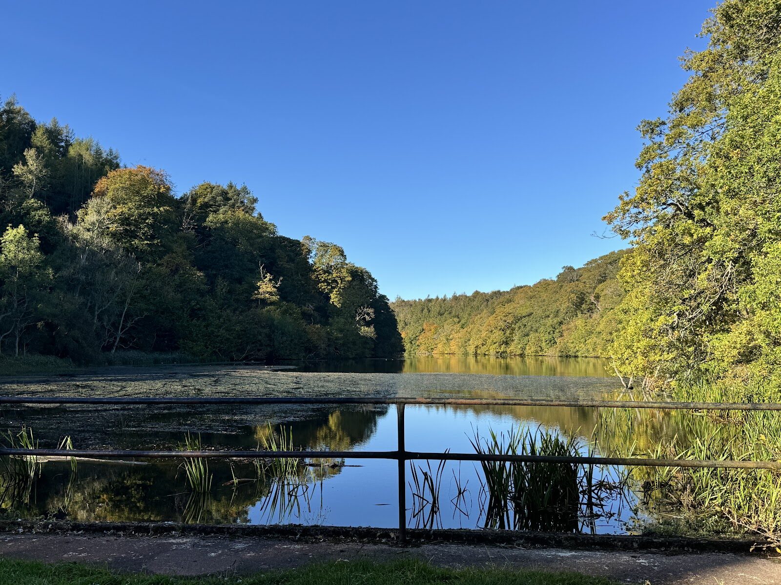 A walk in Pressmennan Wood by the lake