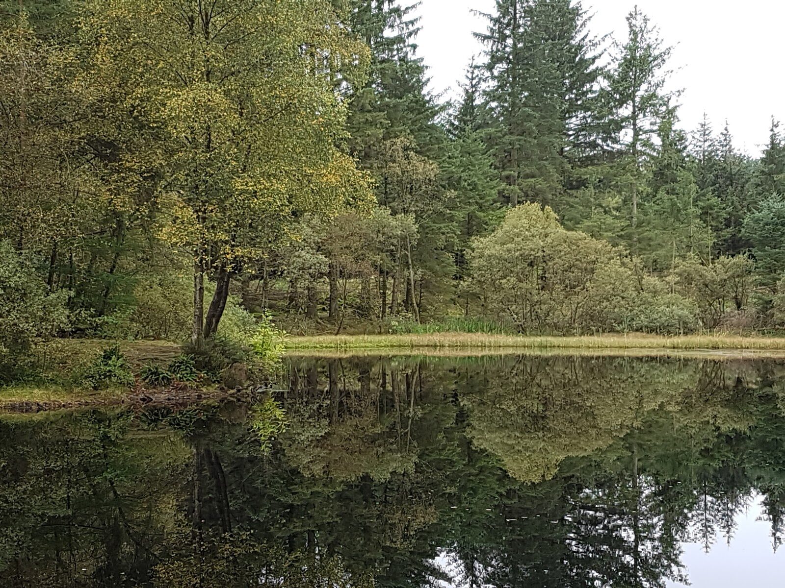 A walk to Bruntis Loch at Kirroughtree