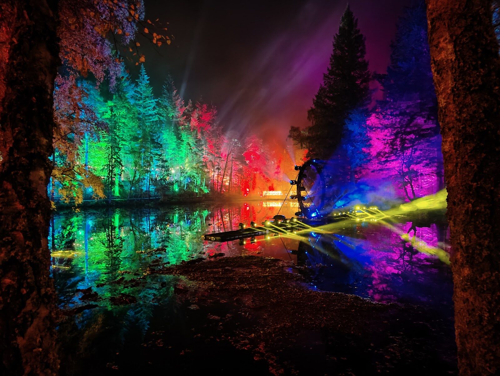 An evening at the Enchanted Forest in Faskally Wood