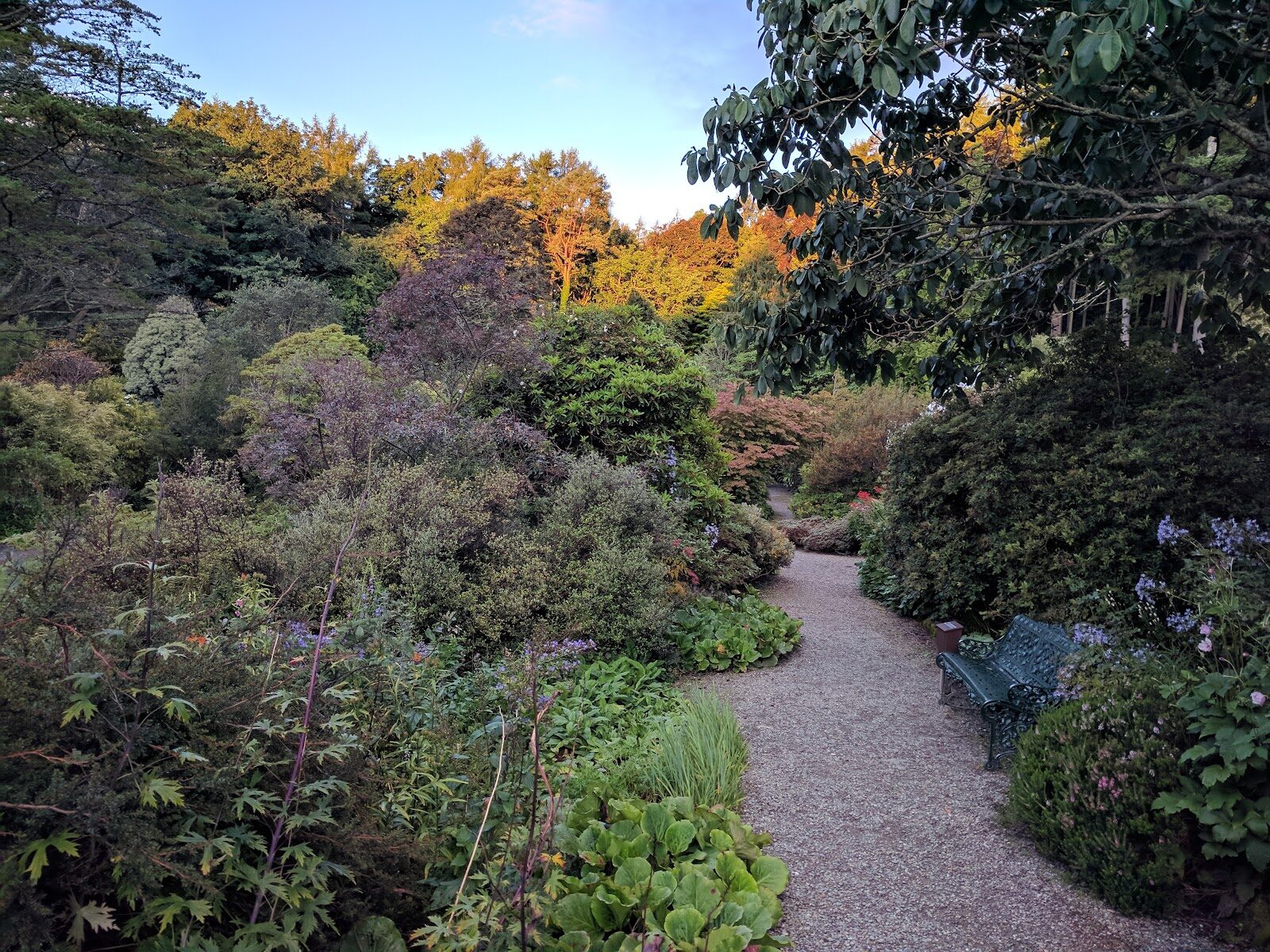 Arduaine Garden on Loch Melfort
