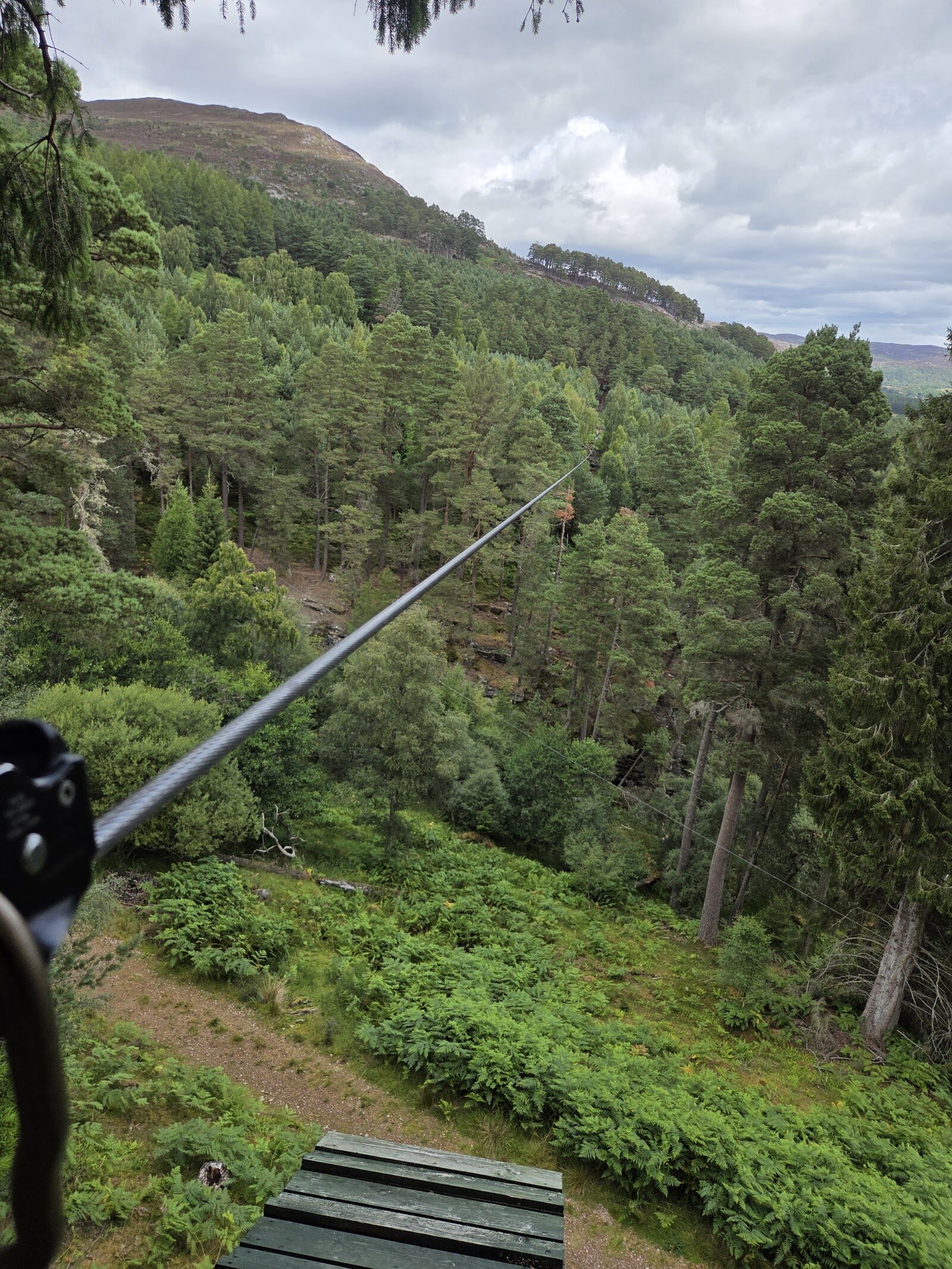 The Zip Trek at Alvie