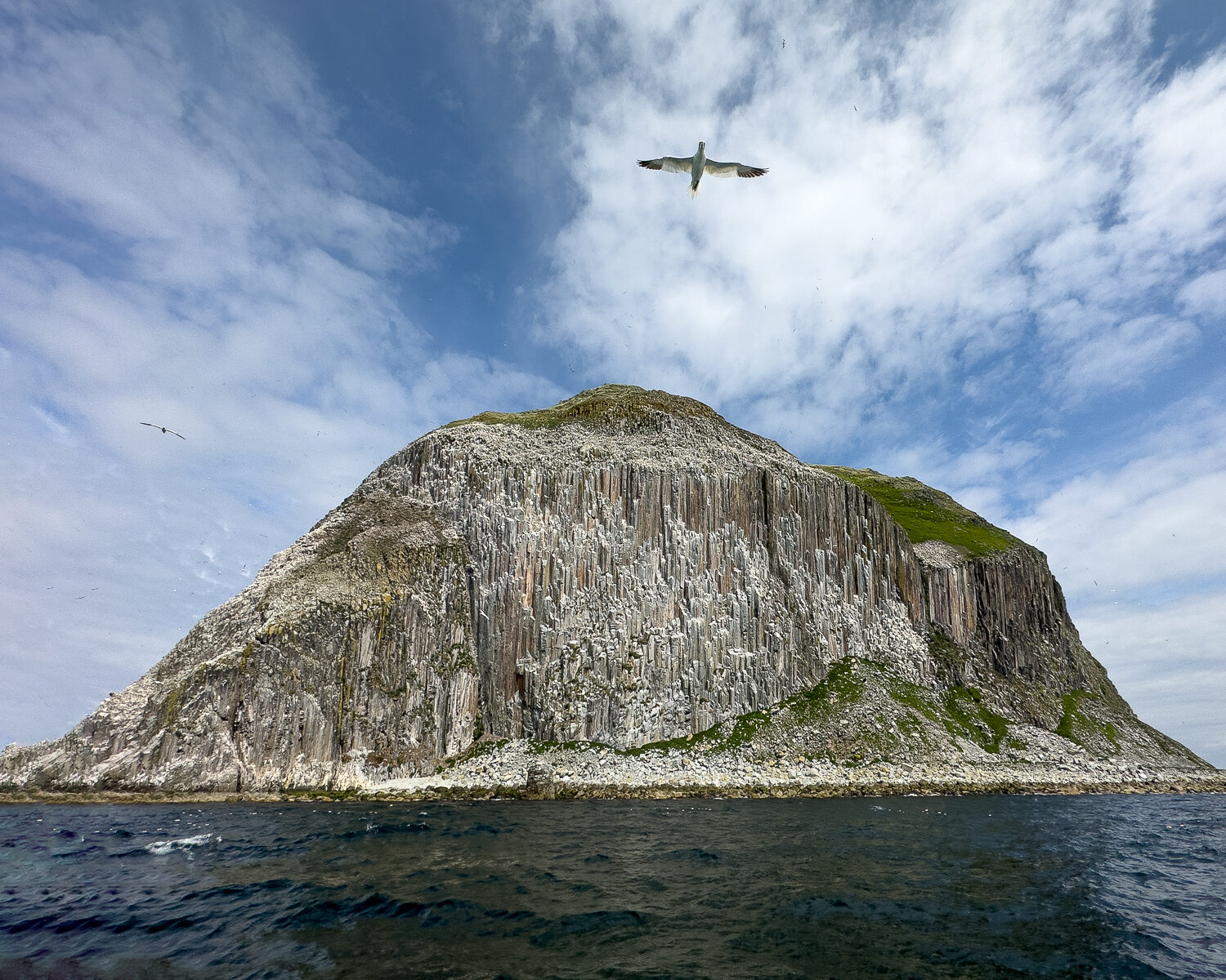 Ailsa Craig's gannets by boat from Girvan