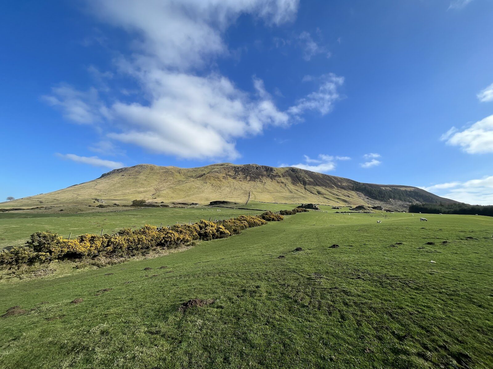 A walk up West Lomond from Craigmead