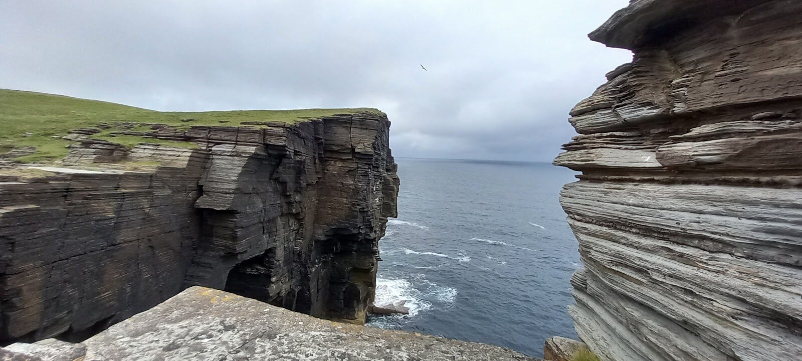 A clifftop walk round Holborn Head