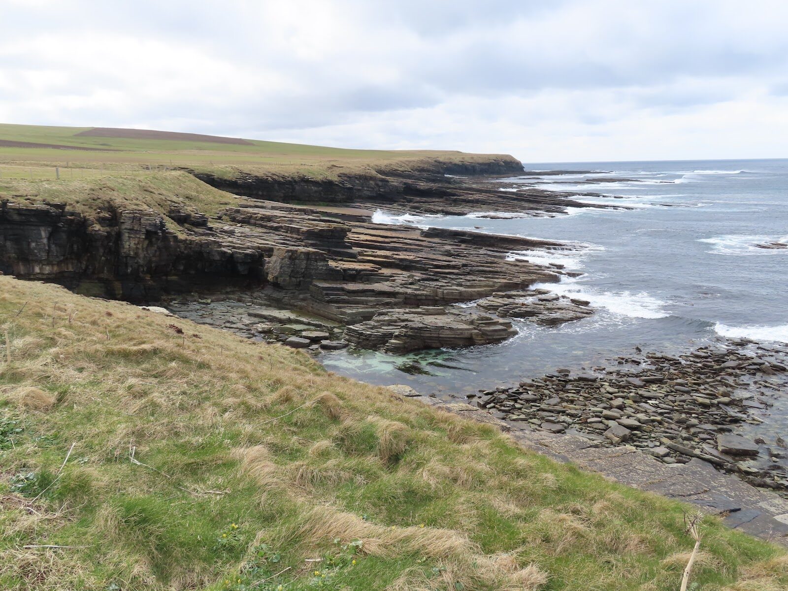 Marwick Head's seabird cliffs