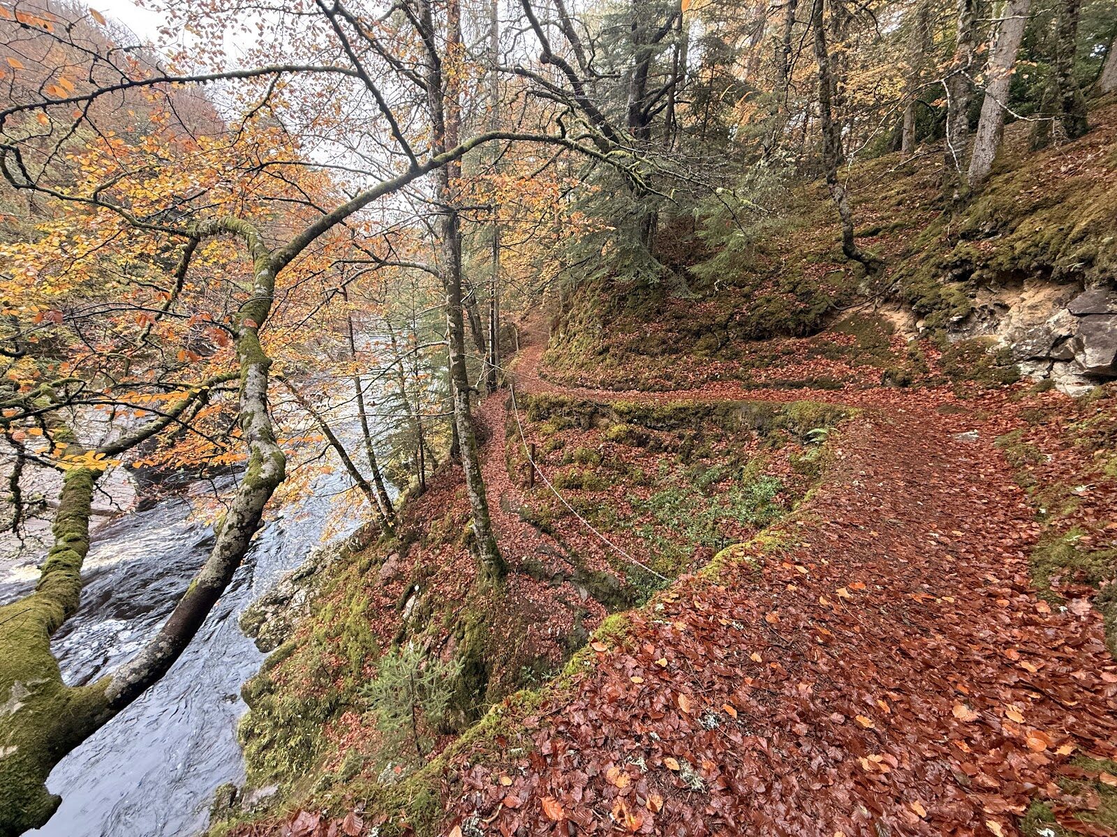 Randolph's Leap walk from Logie Steading