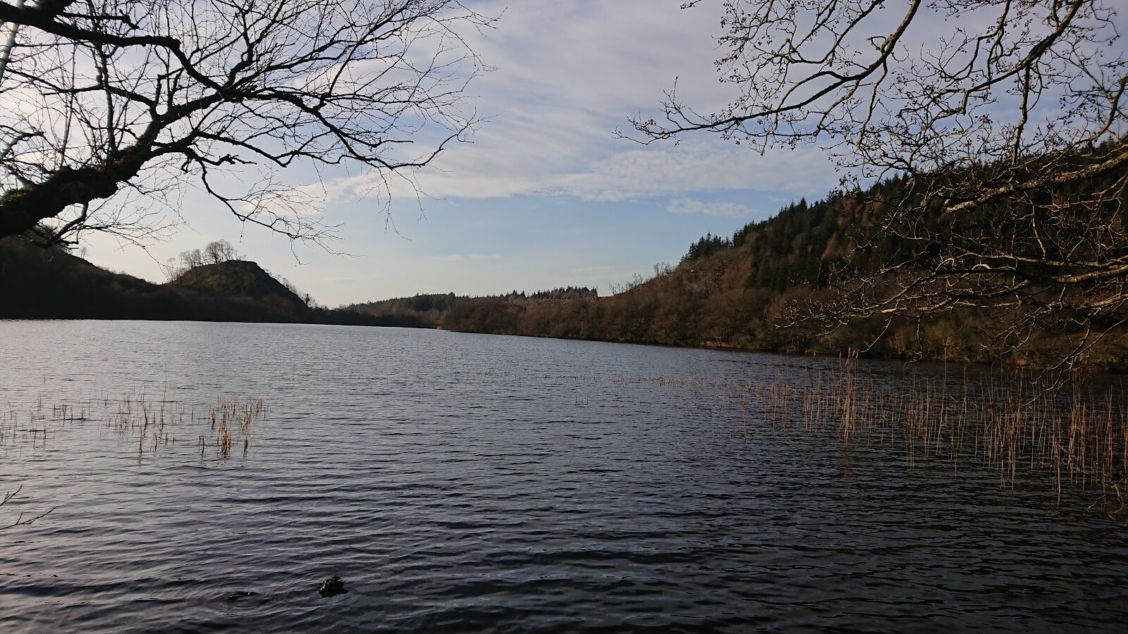 The beaver loch walk at Barnluasgan in Knapdale