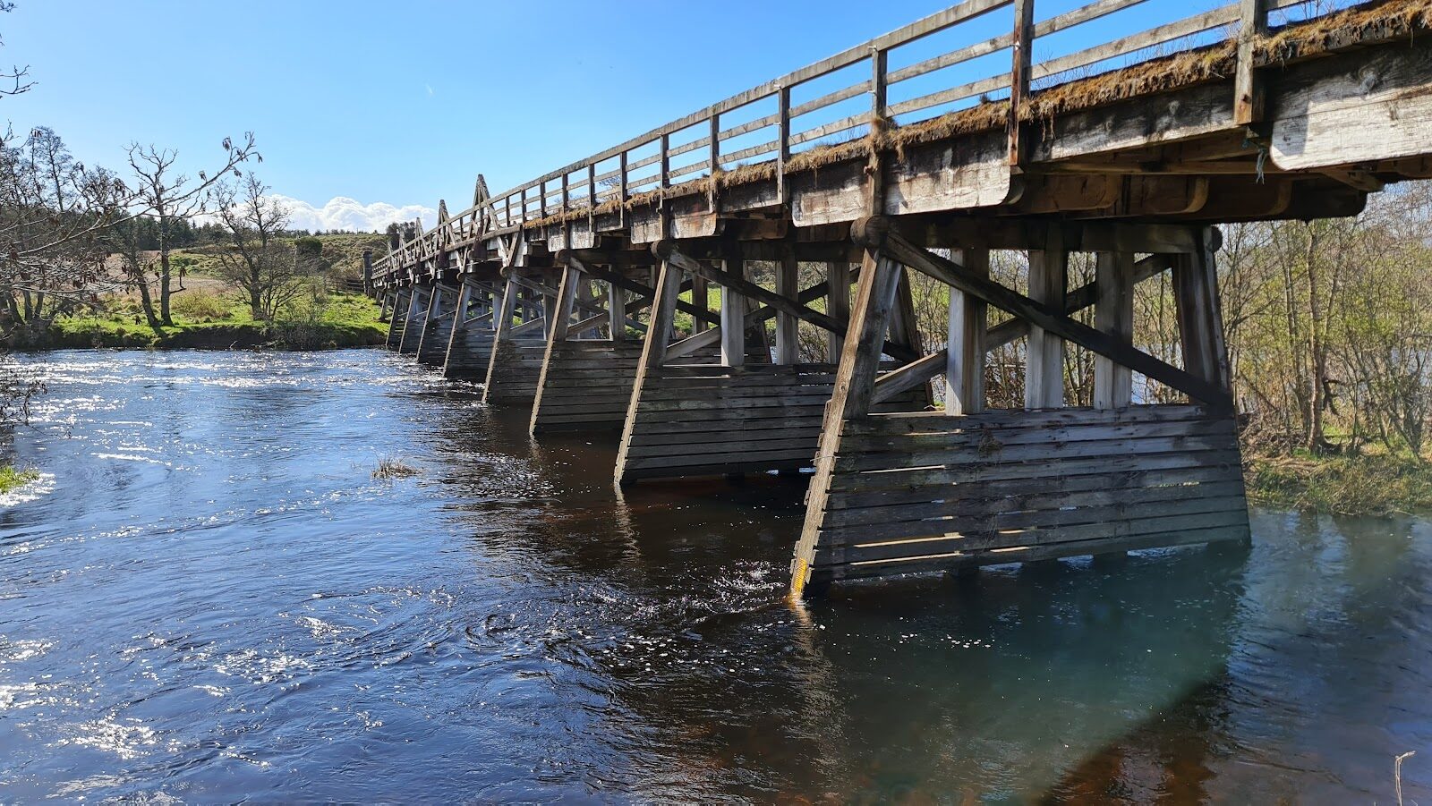 The Broomhill Trail walk at Nethy Bridge