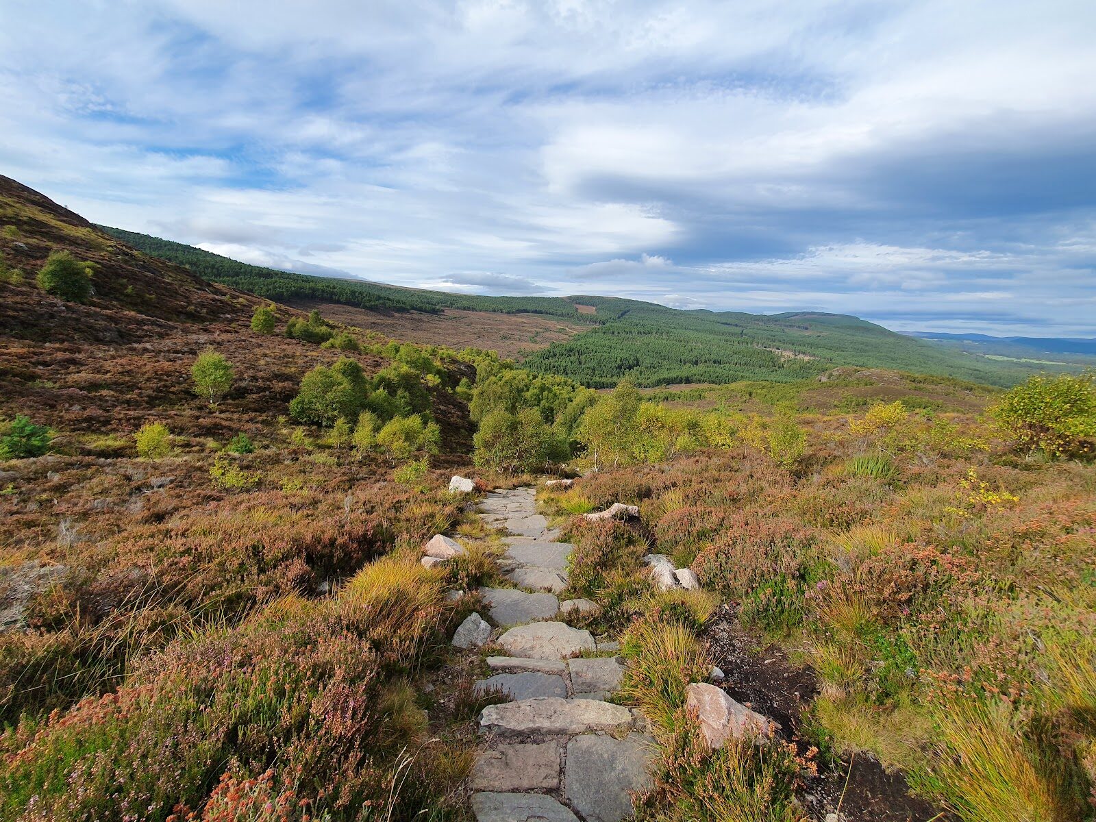 A walk up Craigellachie above Aviemore