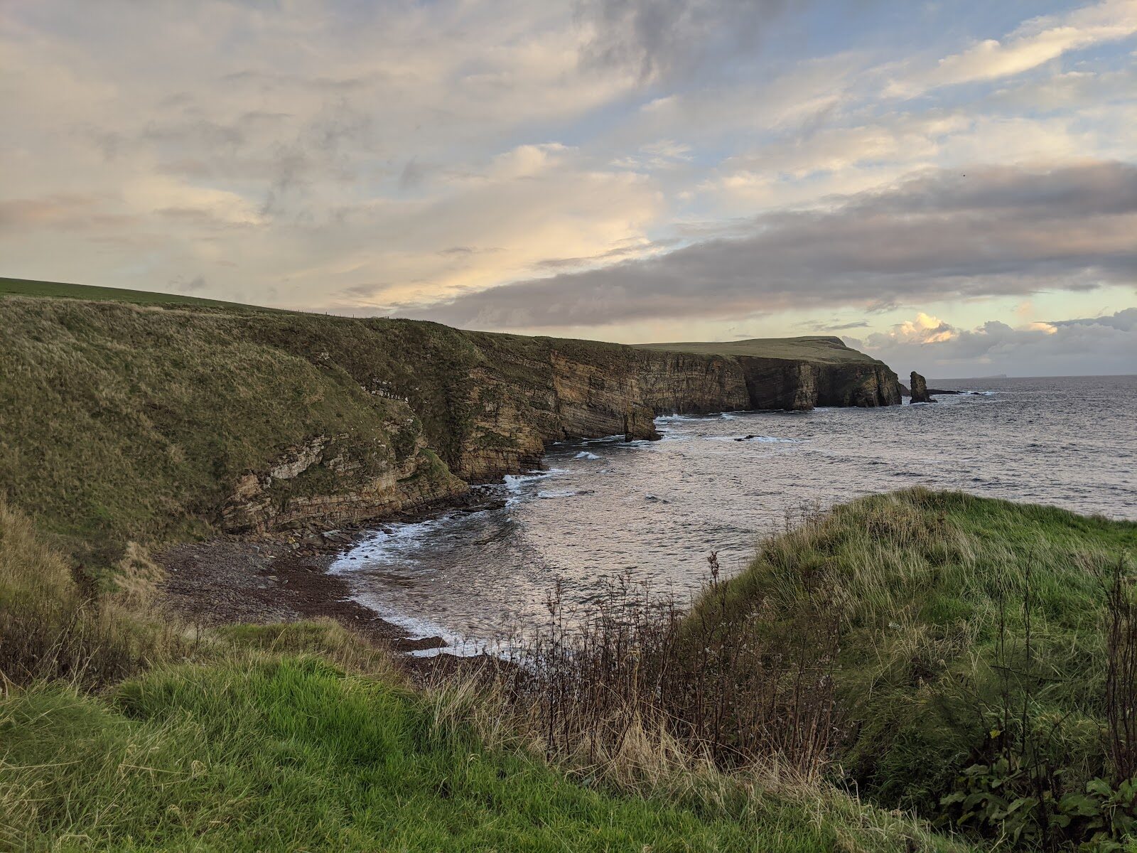 Grey seal pups at Windwick Bay