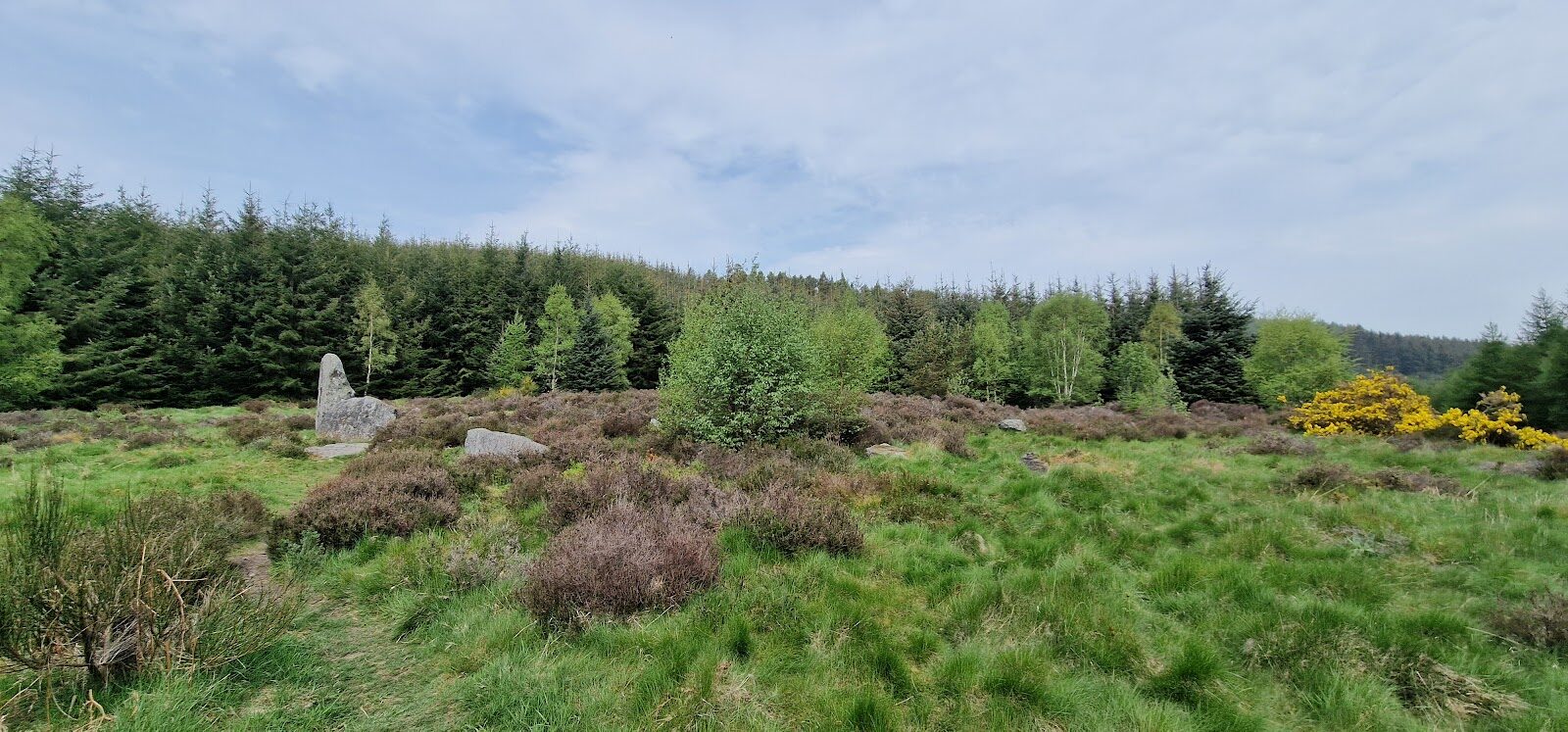 Round Cairn William in Pitfichie Forest