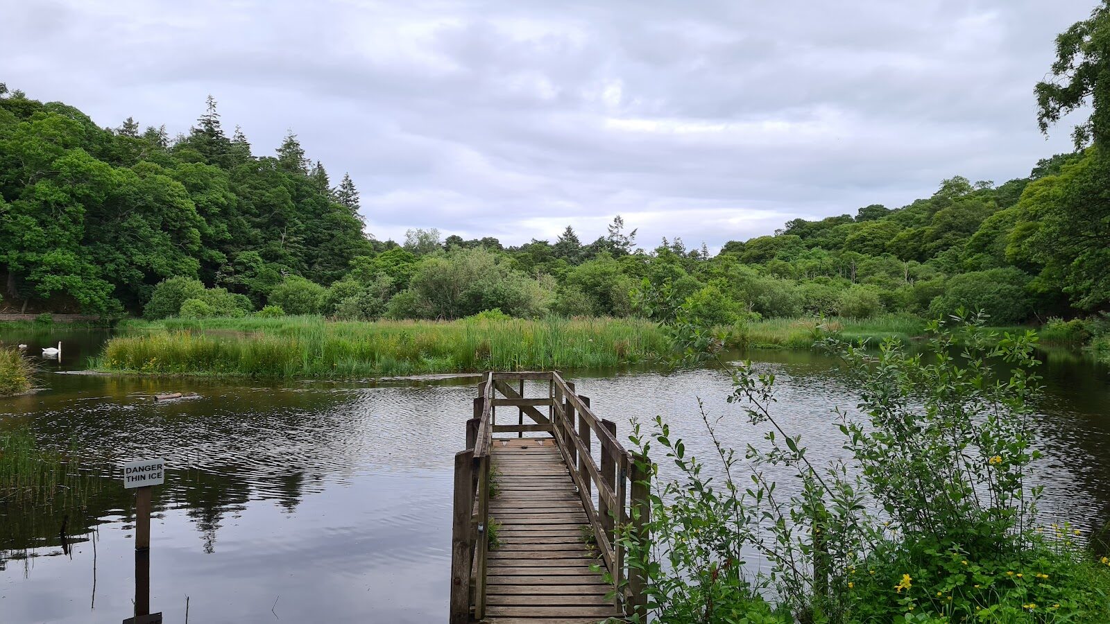 A walk round Sanquhar Loch in Forres