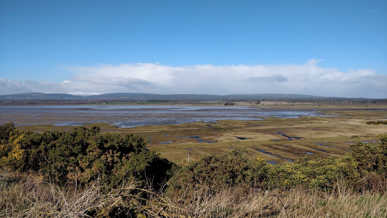 The winter geese at Nigg Bay