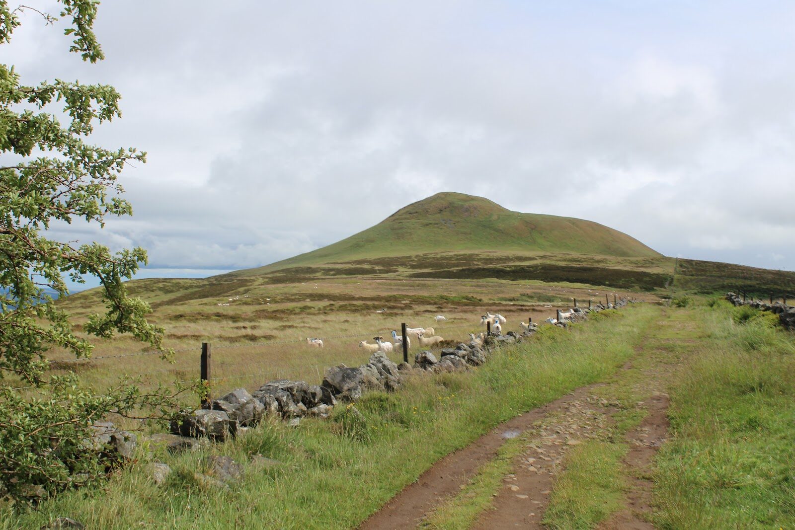 A walk up East Lomond above Falkland