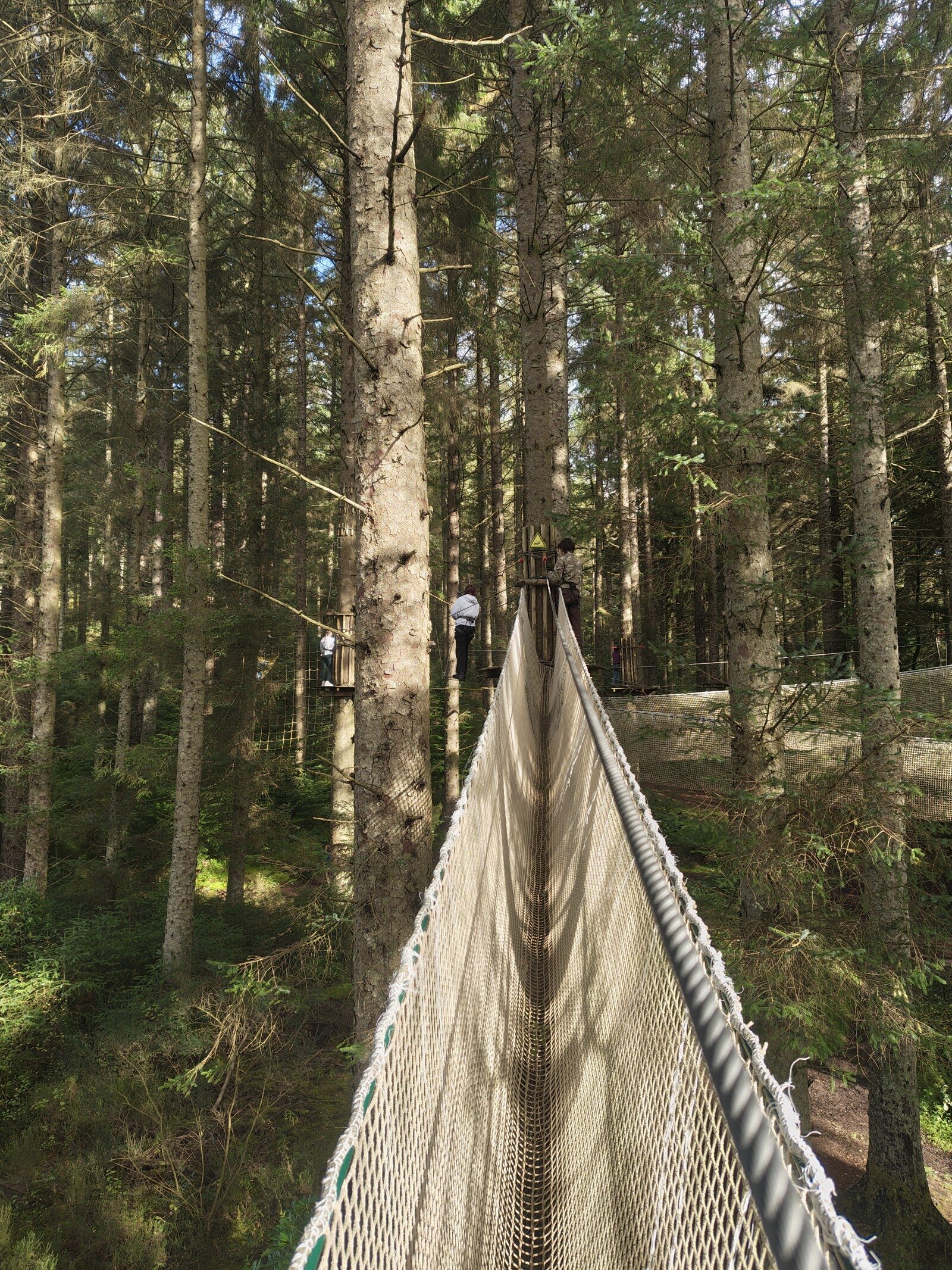Go Ape's Treetop Challenge at Aberfoyle